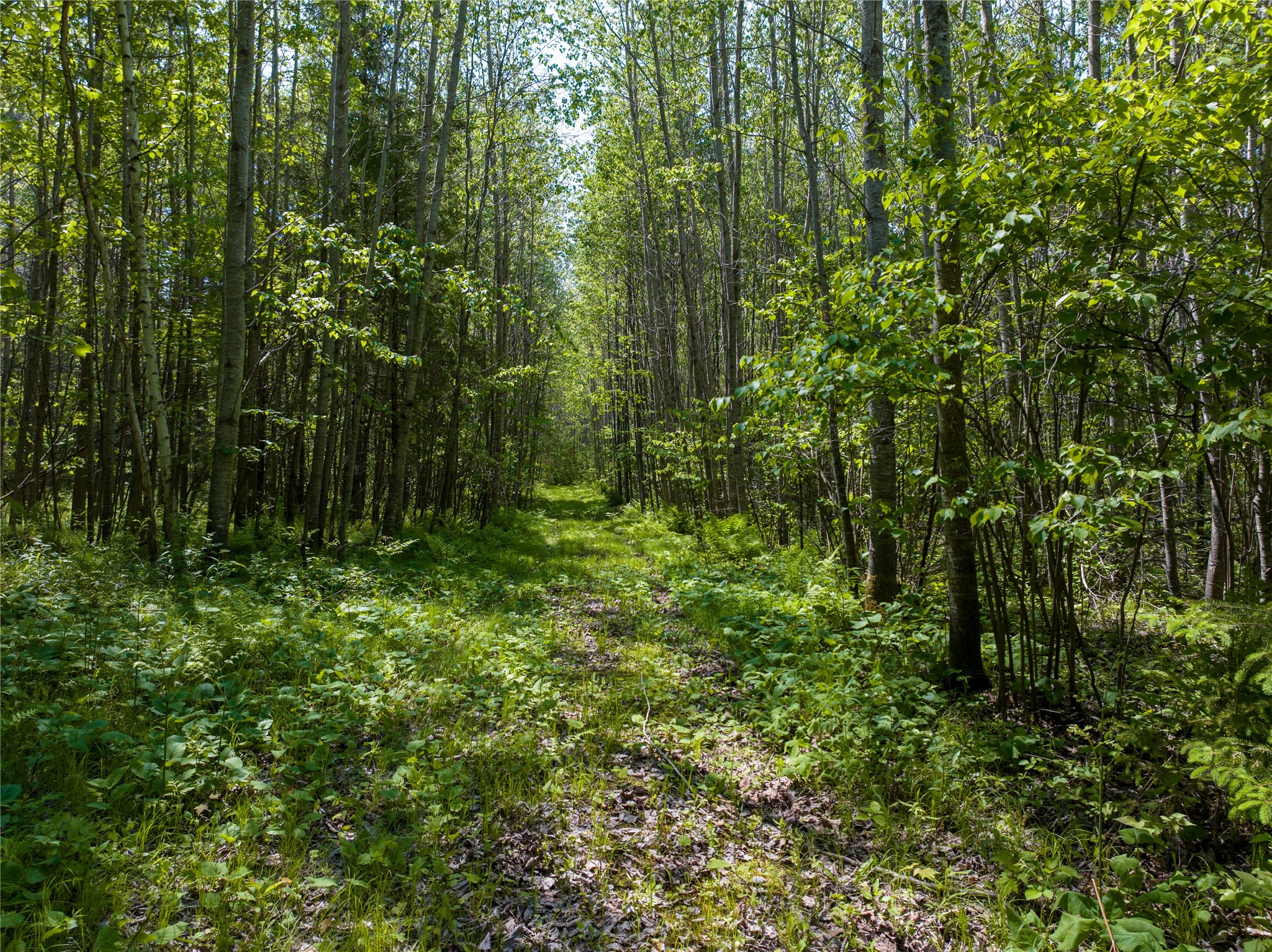 14195 County Highway M Property Photo 2