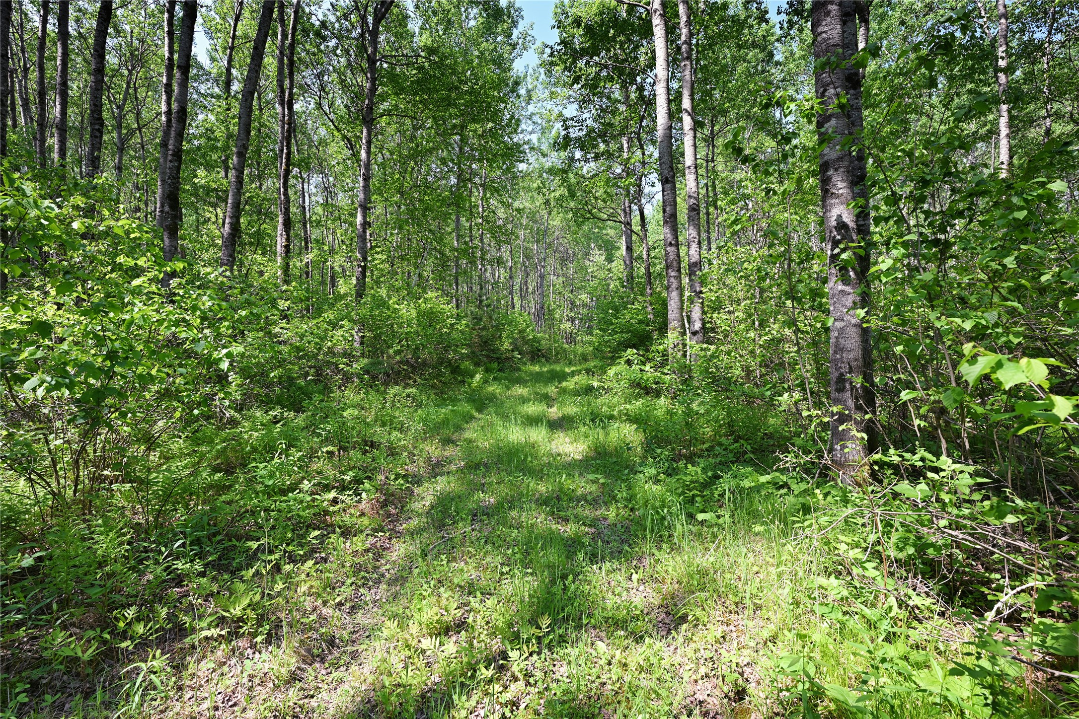 14195 County Highway M Property Photo 8