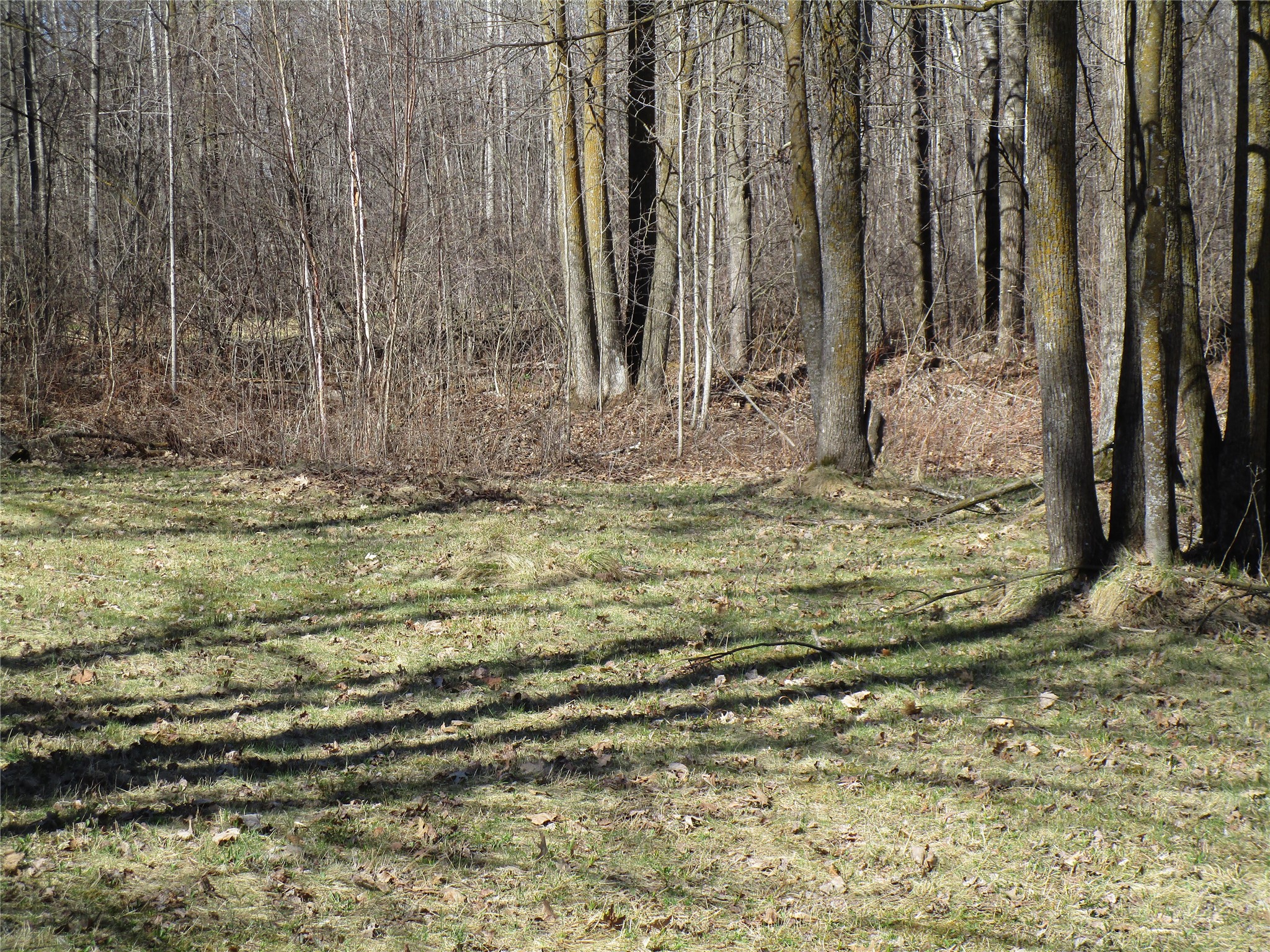 N7110 Hackett Road Property Photo 11