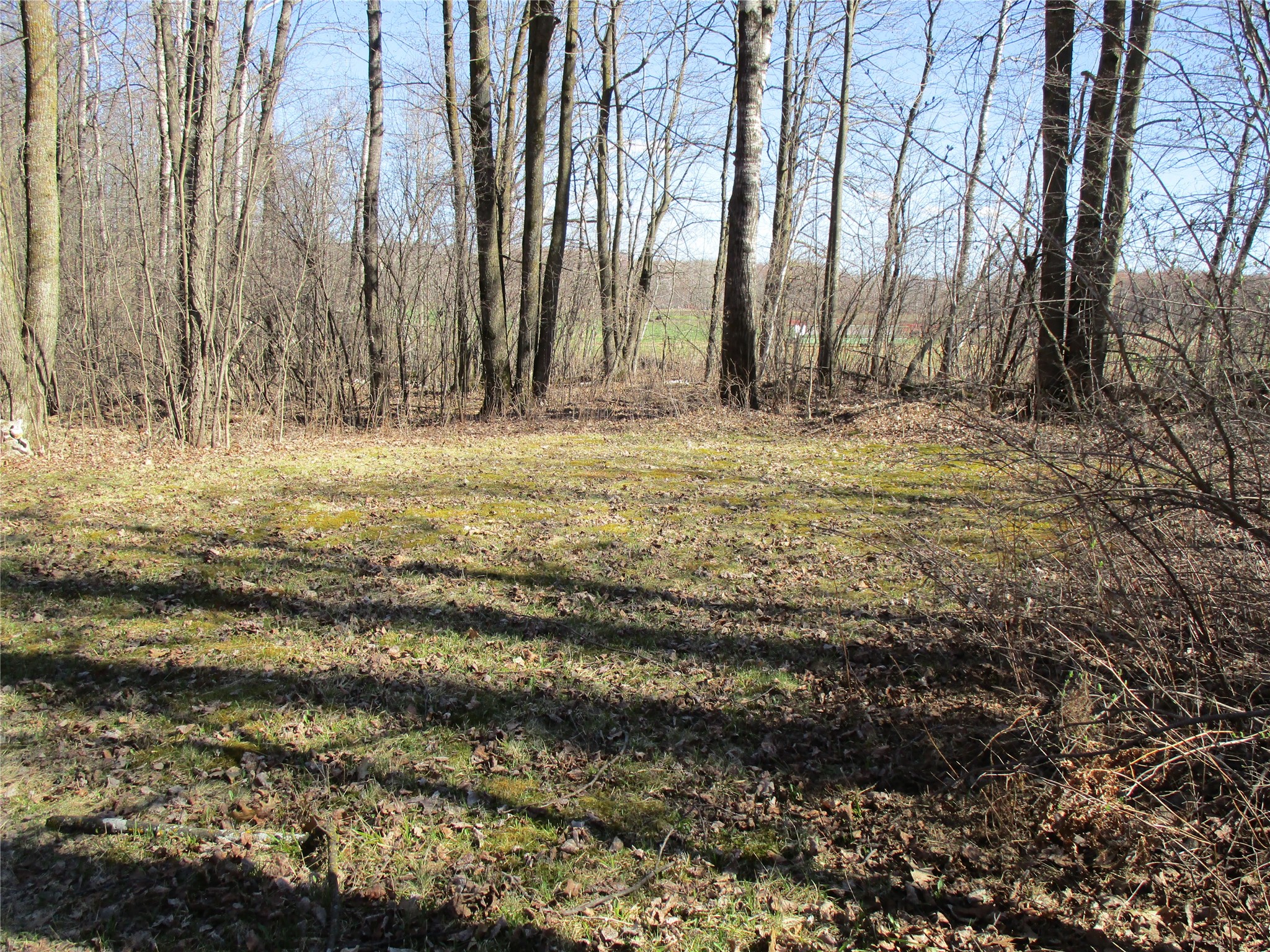 N7110 Hackett Road Property Photo 12