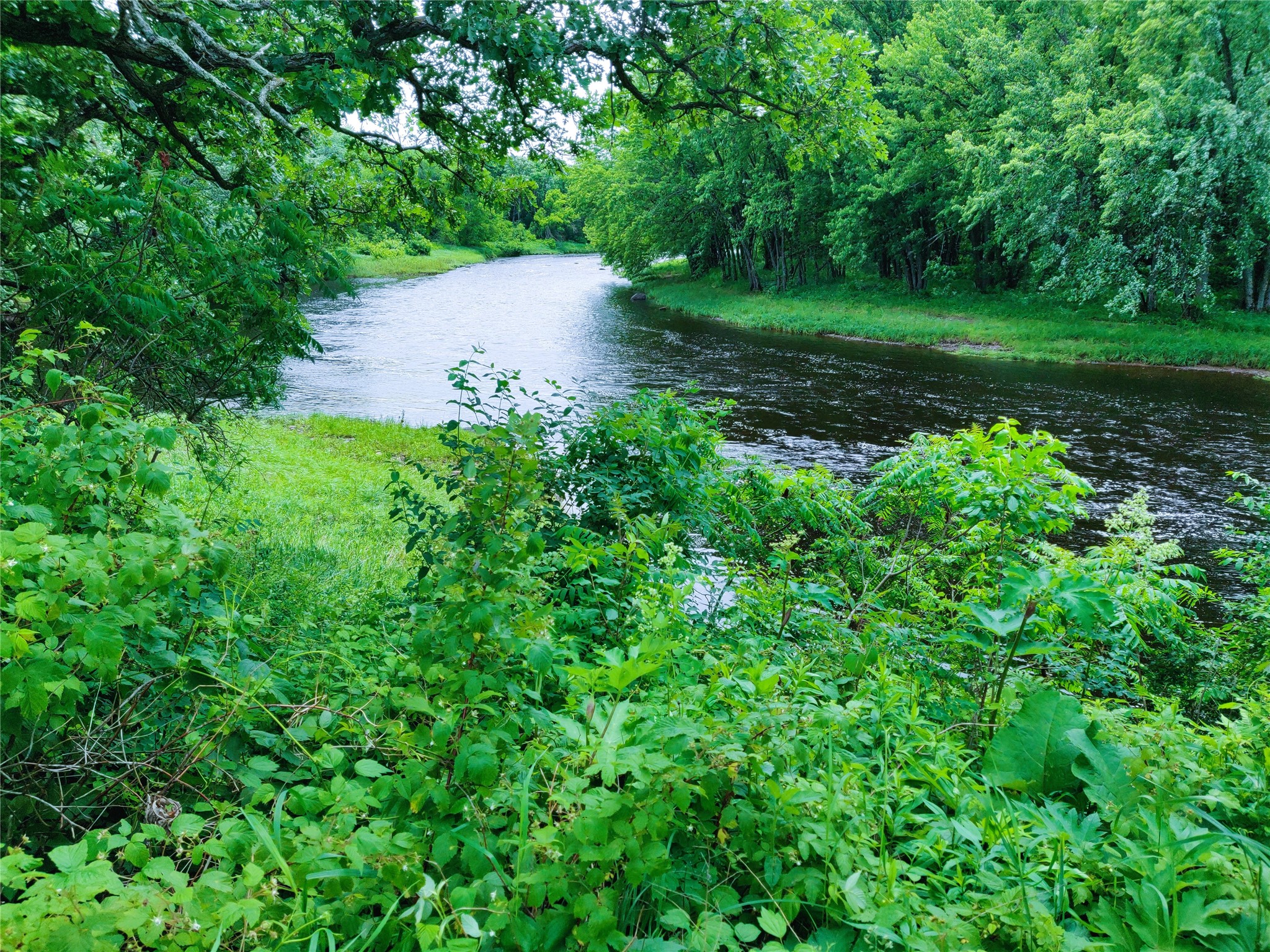 1.35 Acres On Isabella Lane Property Photo 3