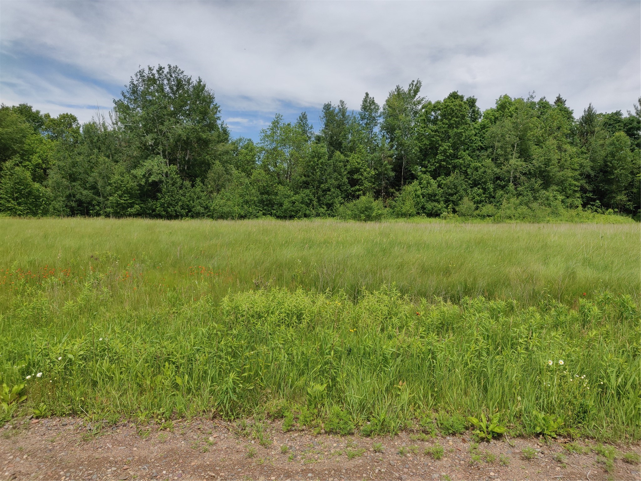 1.35 Acres On Isabella Lane Property Photo 4