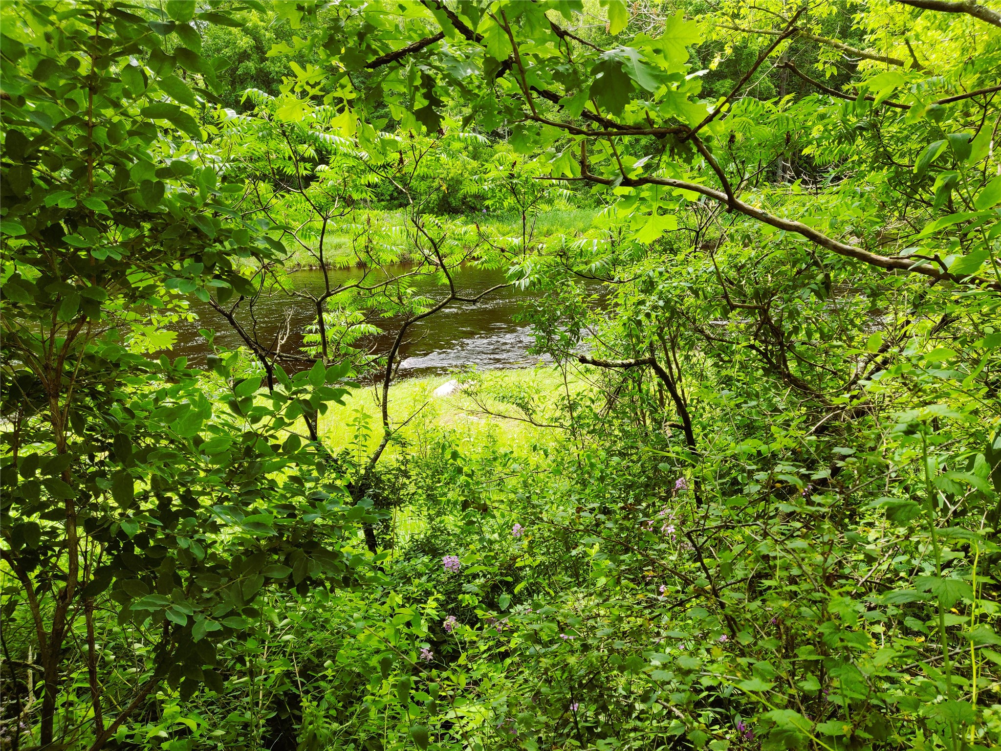 1.35 Acres On Isabella Lane Property Photo 6
