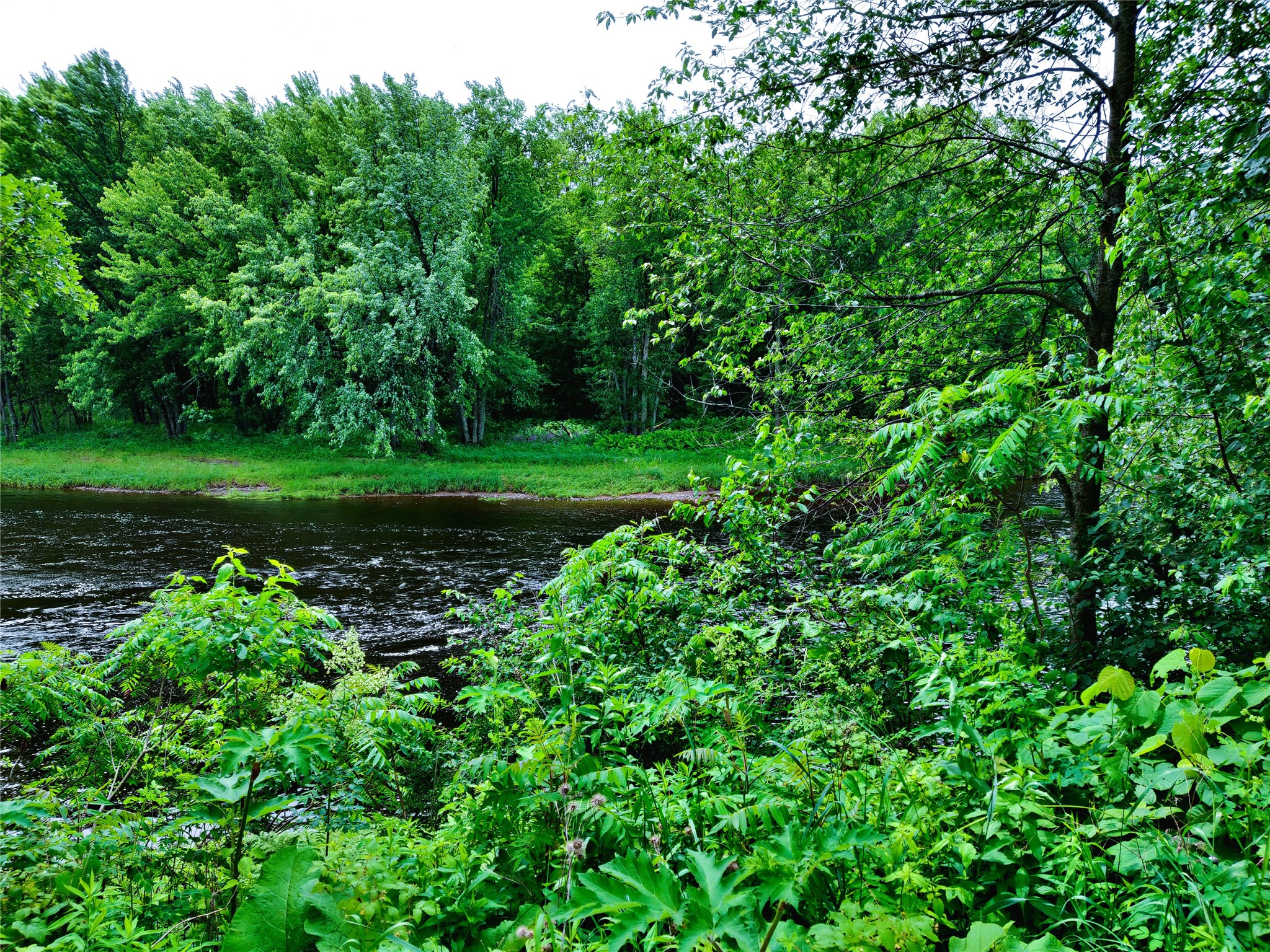 1.35 Acres On Isabella Lane Property Photo 8