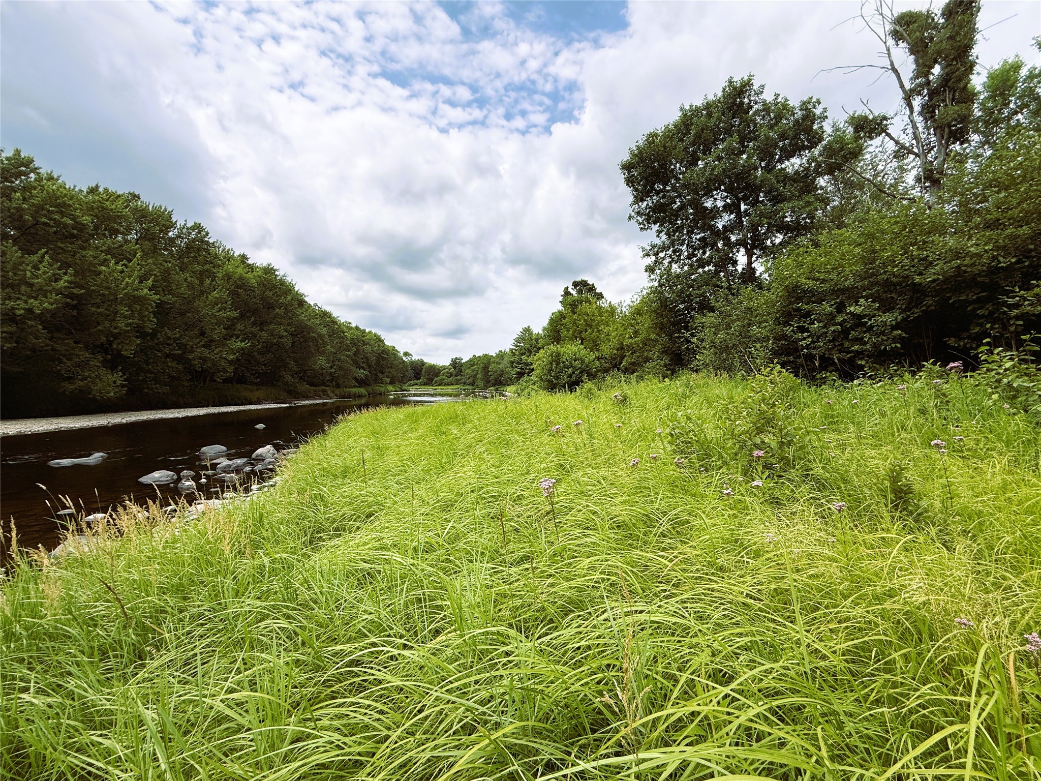 1.35 Acres On Isabella Lane Property Photo 21