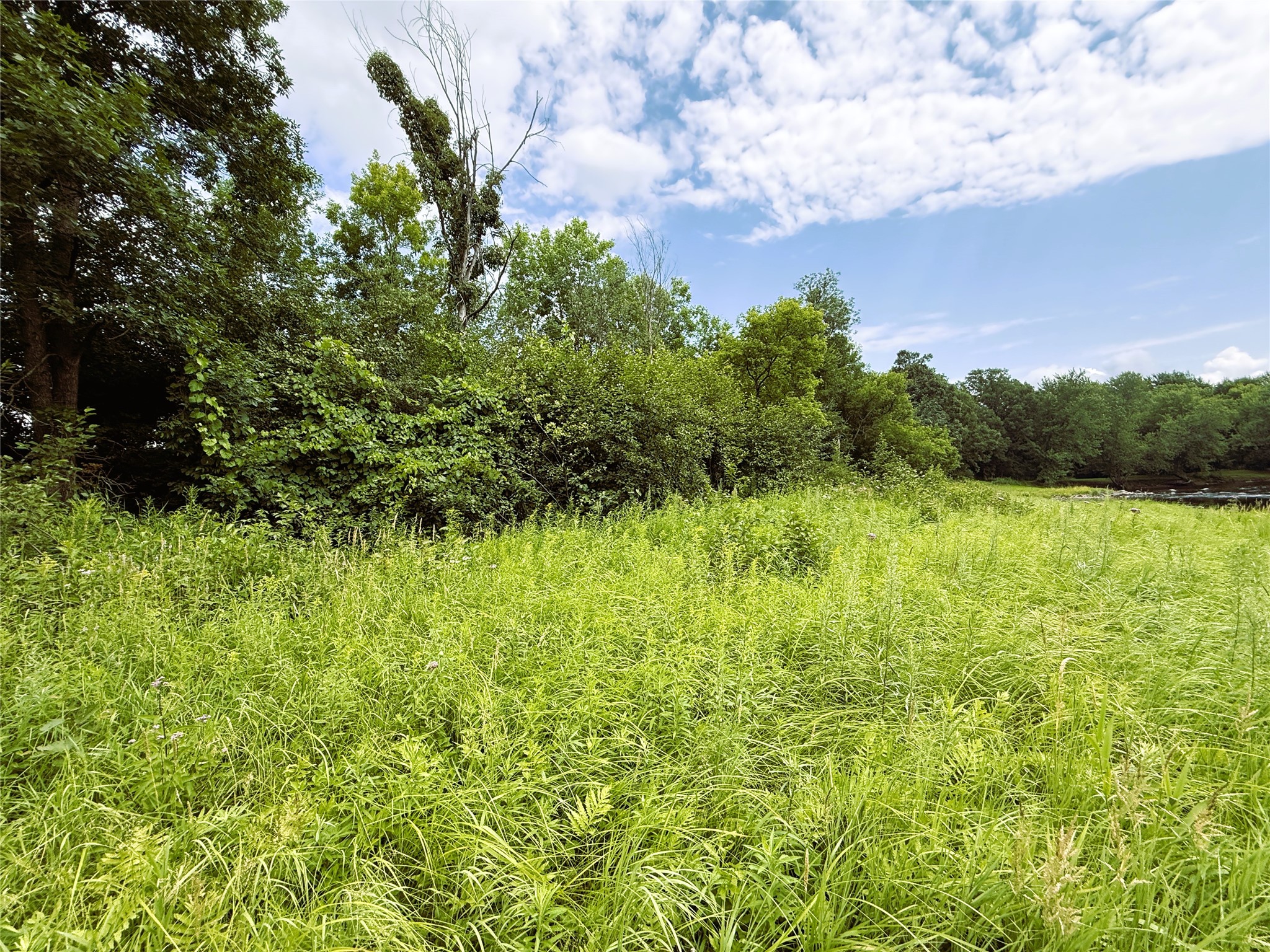 1.35 Acres On Isabella Lane Property Photo 23