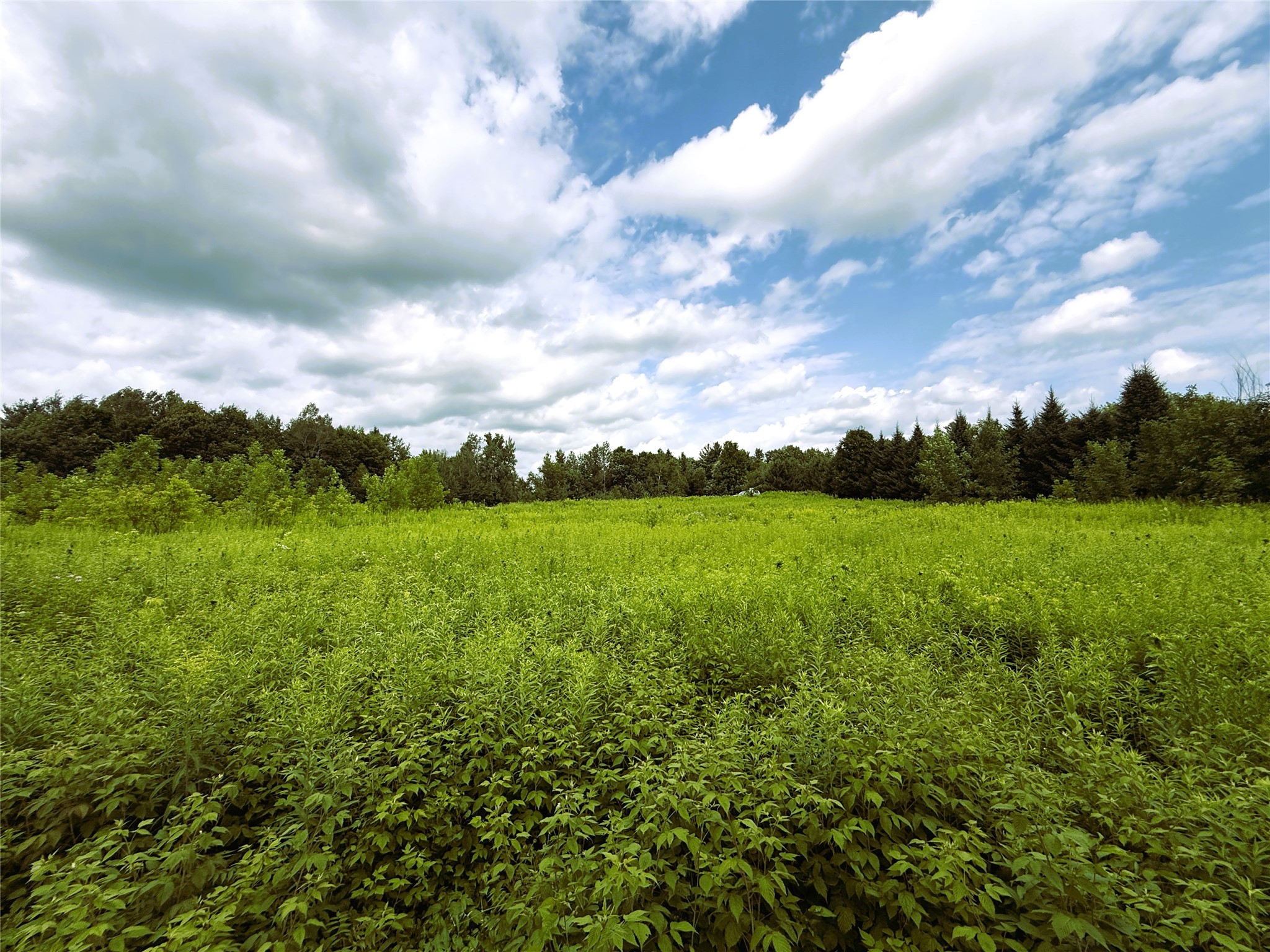 1.35 Acres On Isabella Lane Property Photo 24