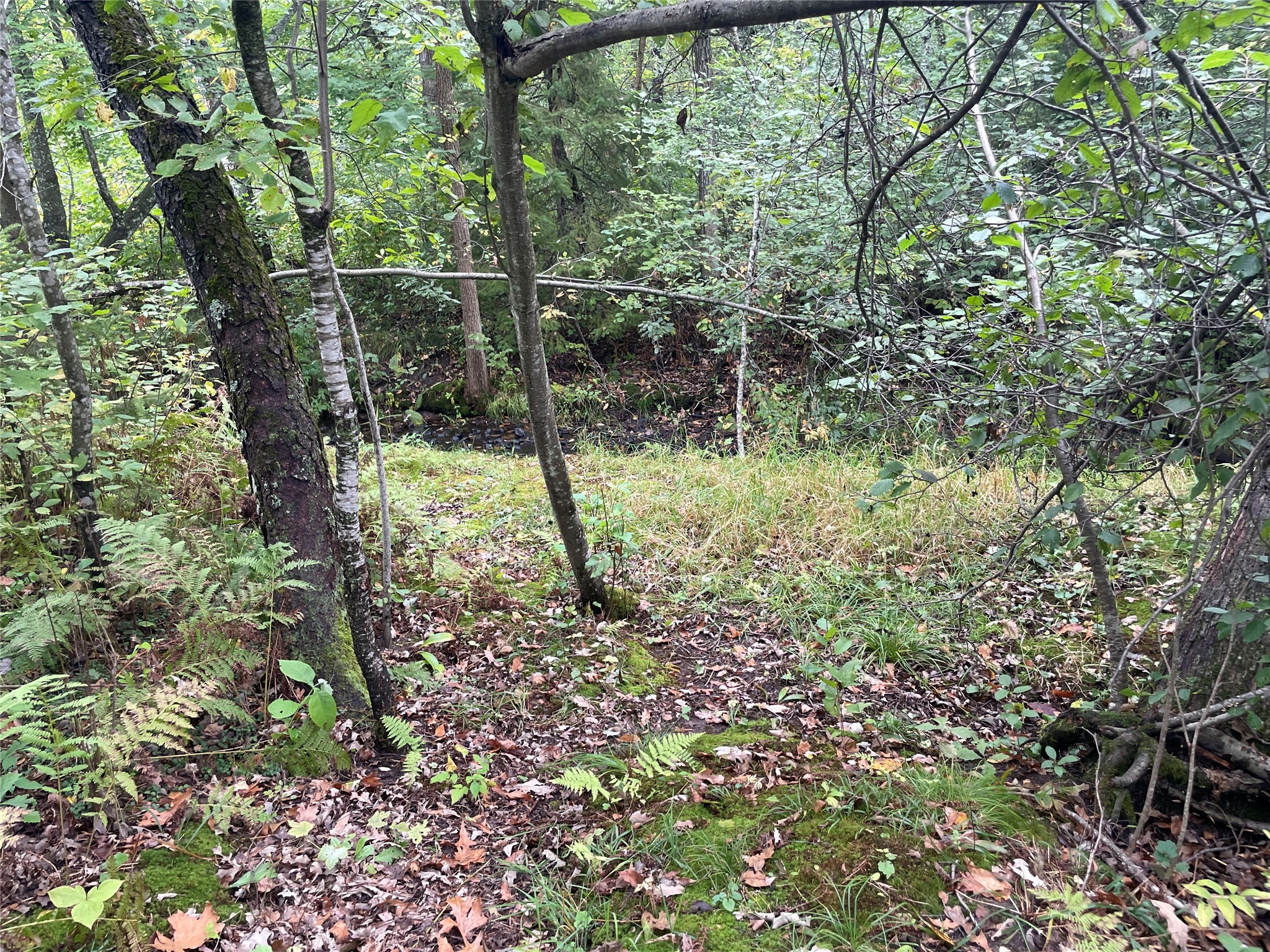 N8644 Lumbard Lane Property Photo 31