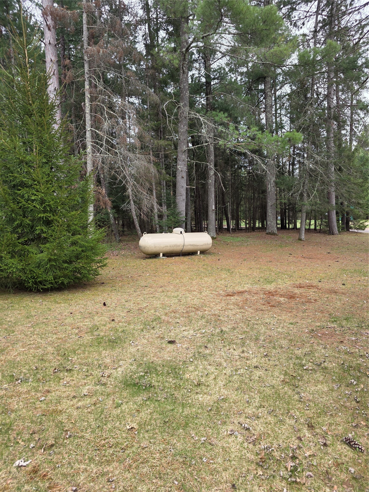 N8644 Lumbard Lane Property Photo 33
