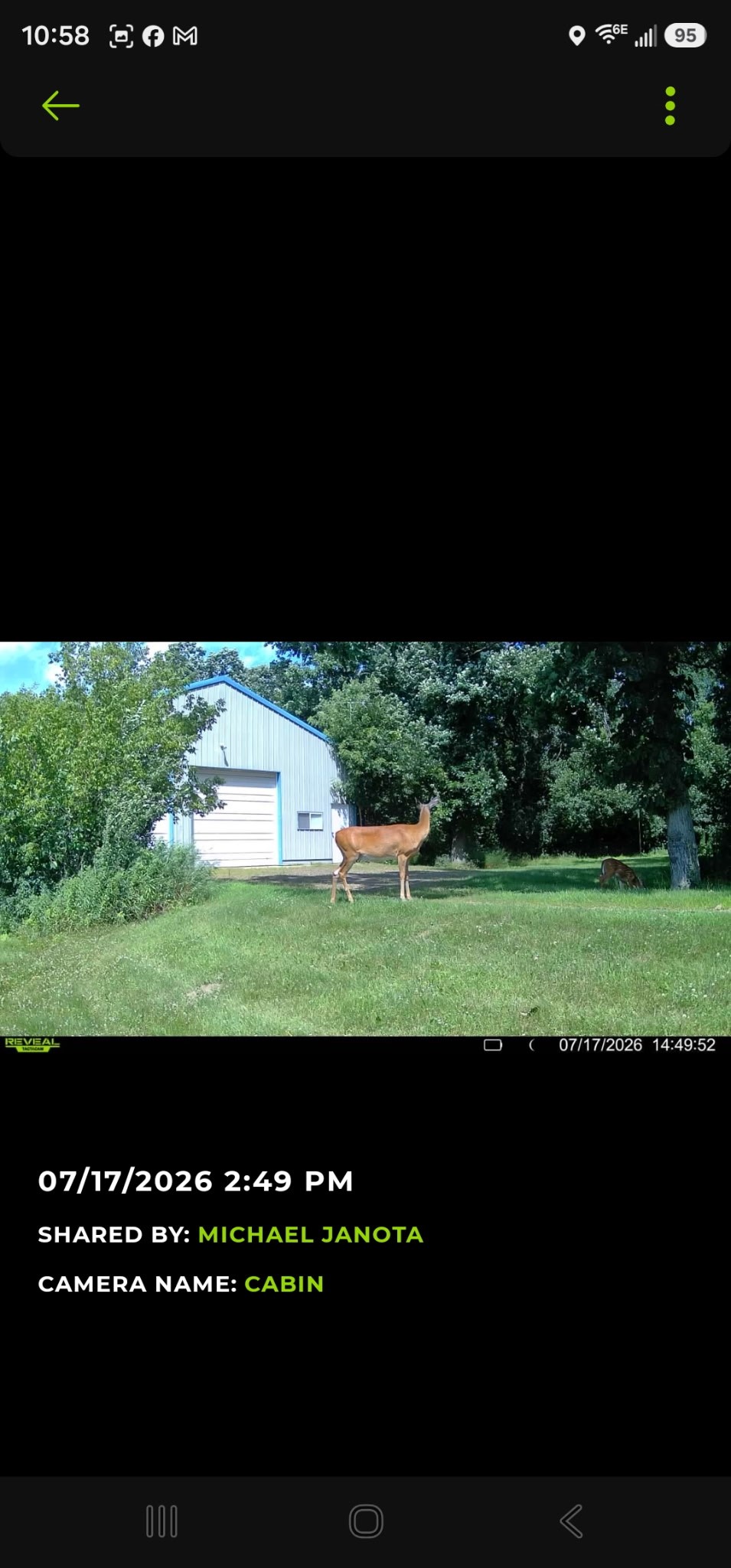 203 Dallas Street E Property Photo 4