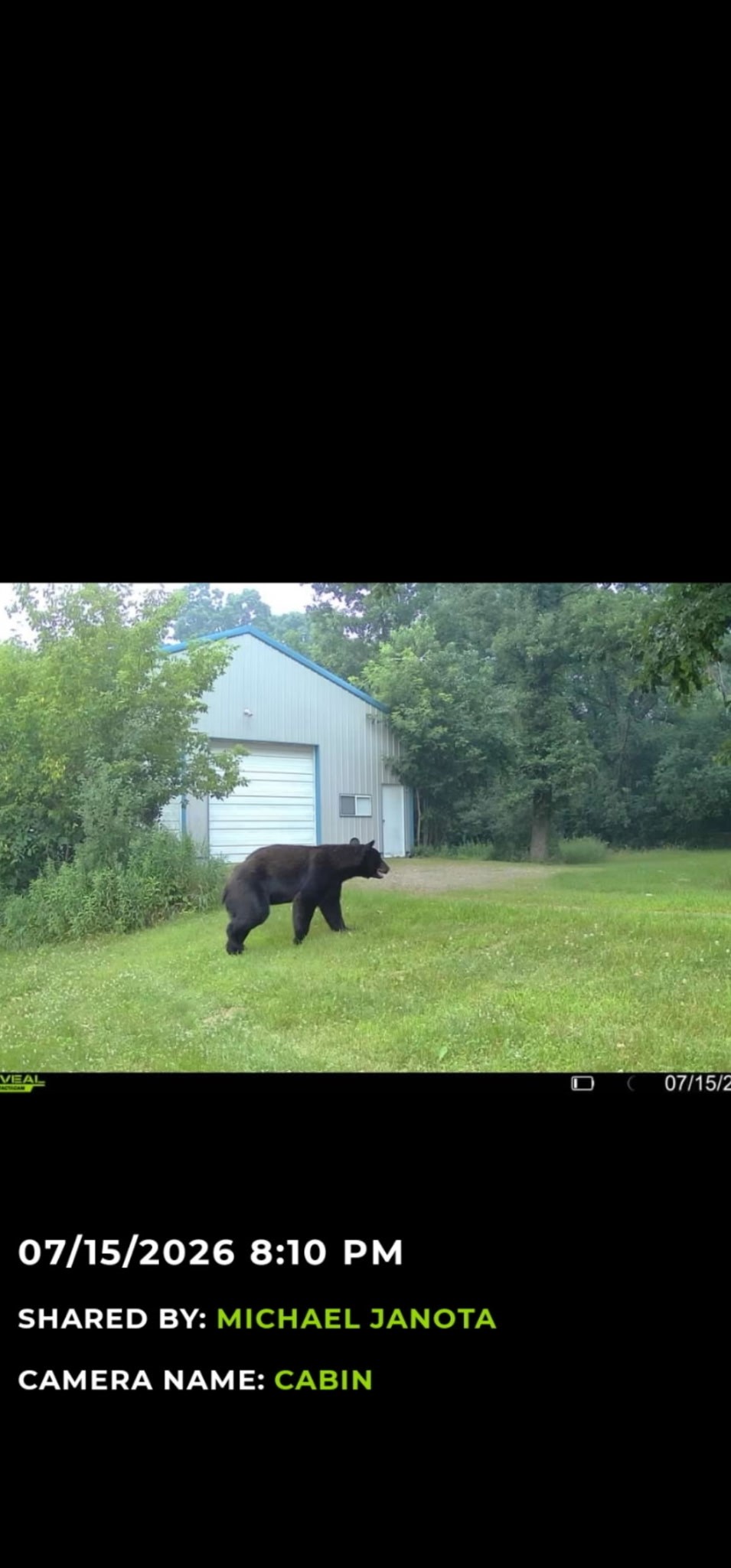 203 Dallas Street E Property Photo 5