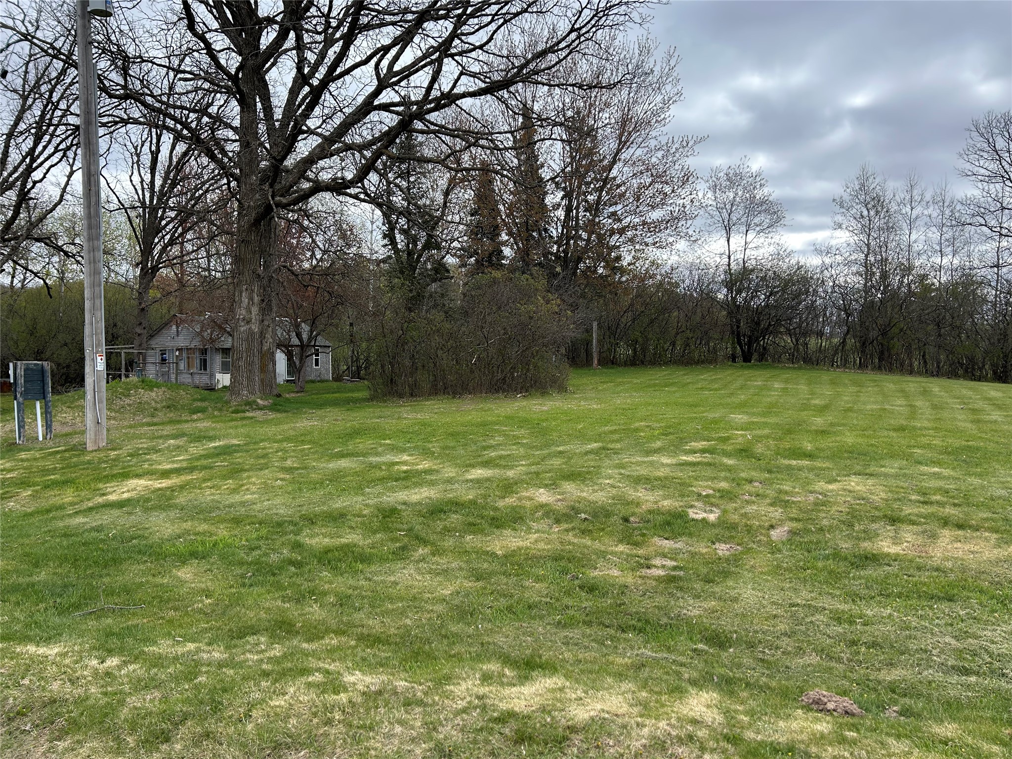 203 Dallas Street E Property Photo 20