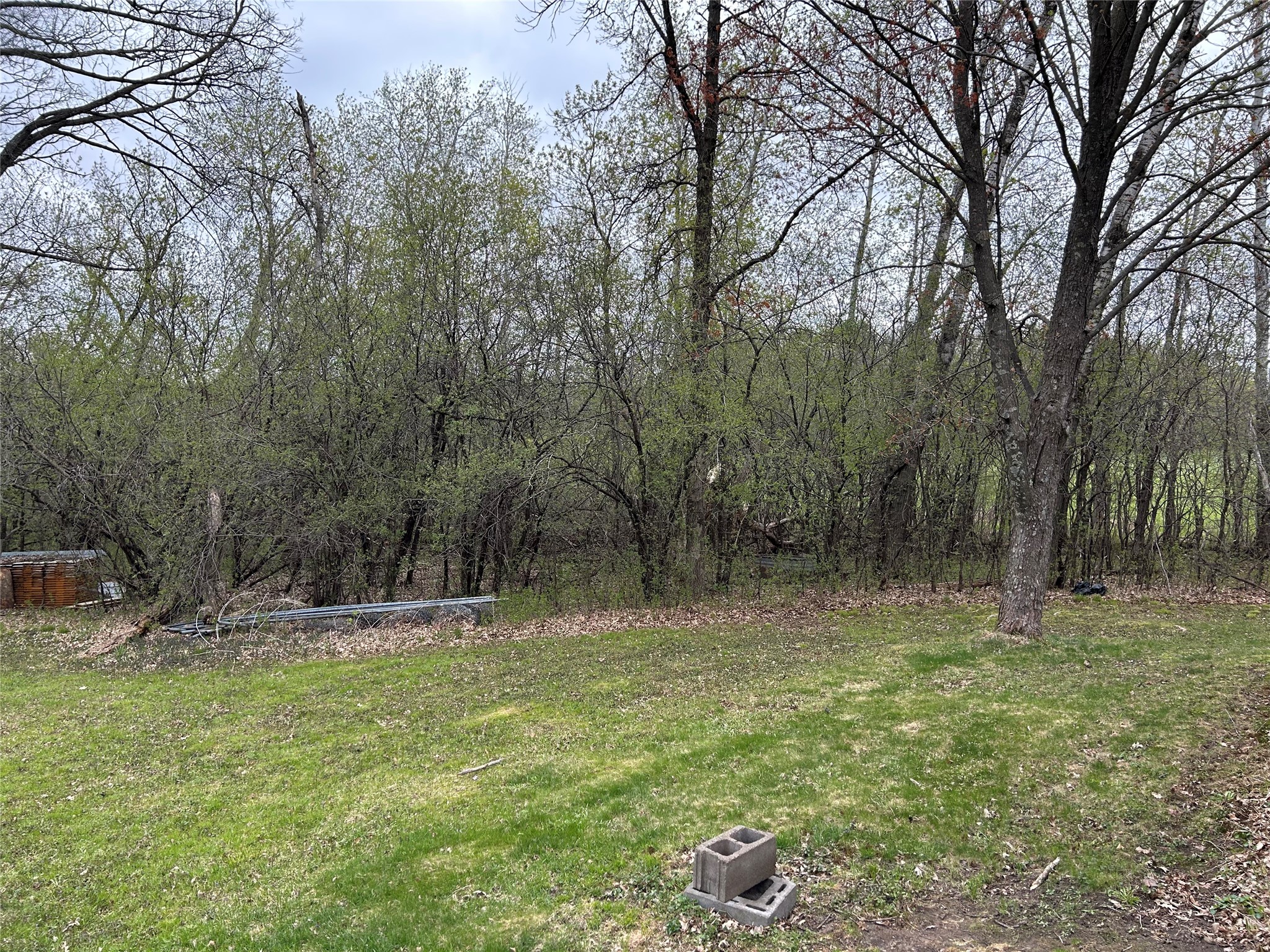 203 Dallas Street E Property Photo 45