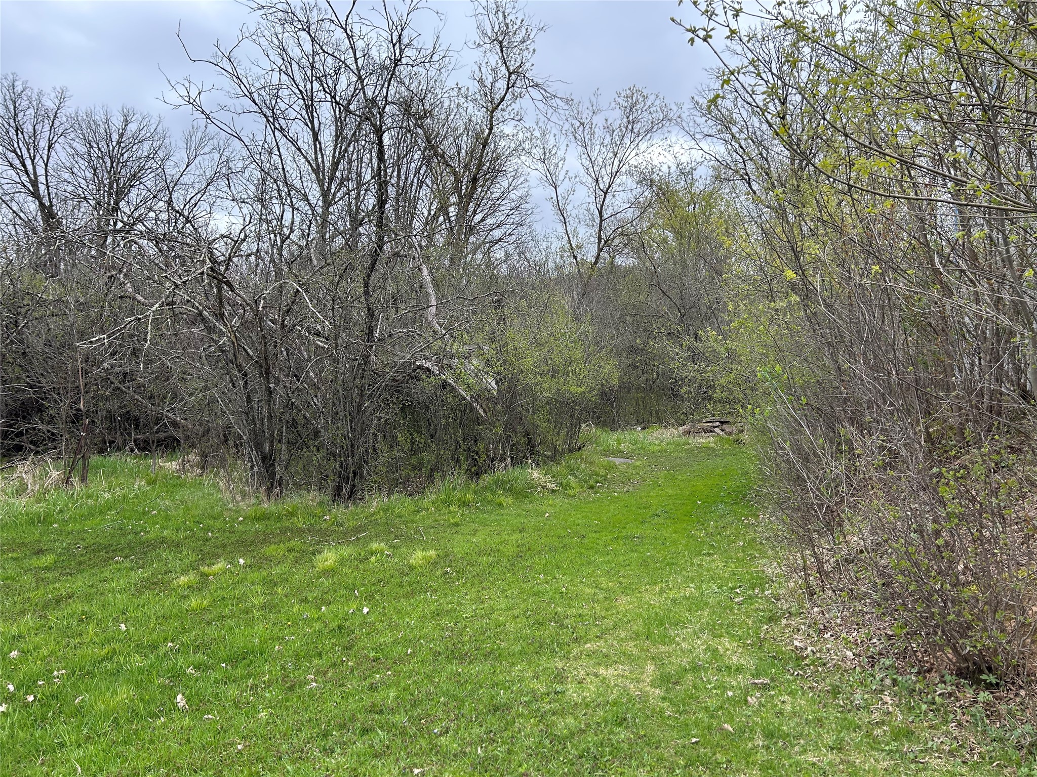 203 Dallas Street E Property Photo 53