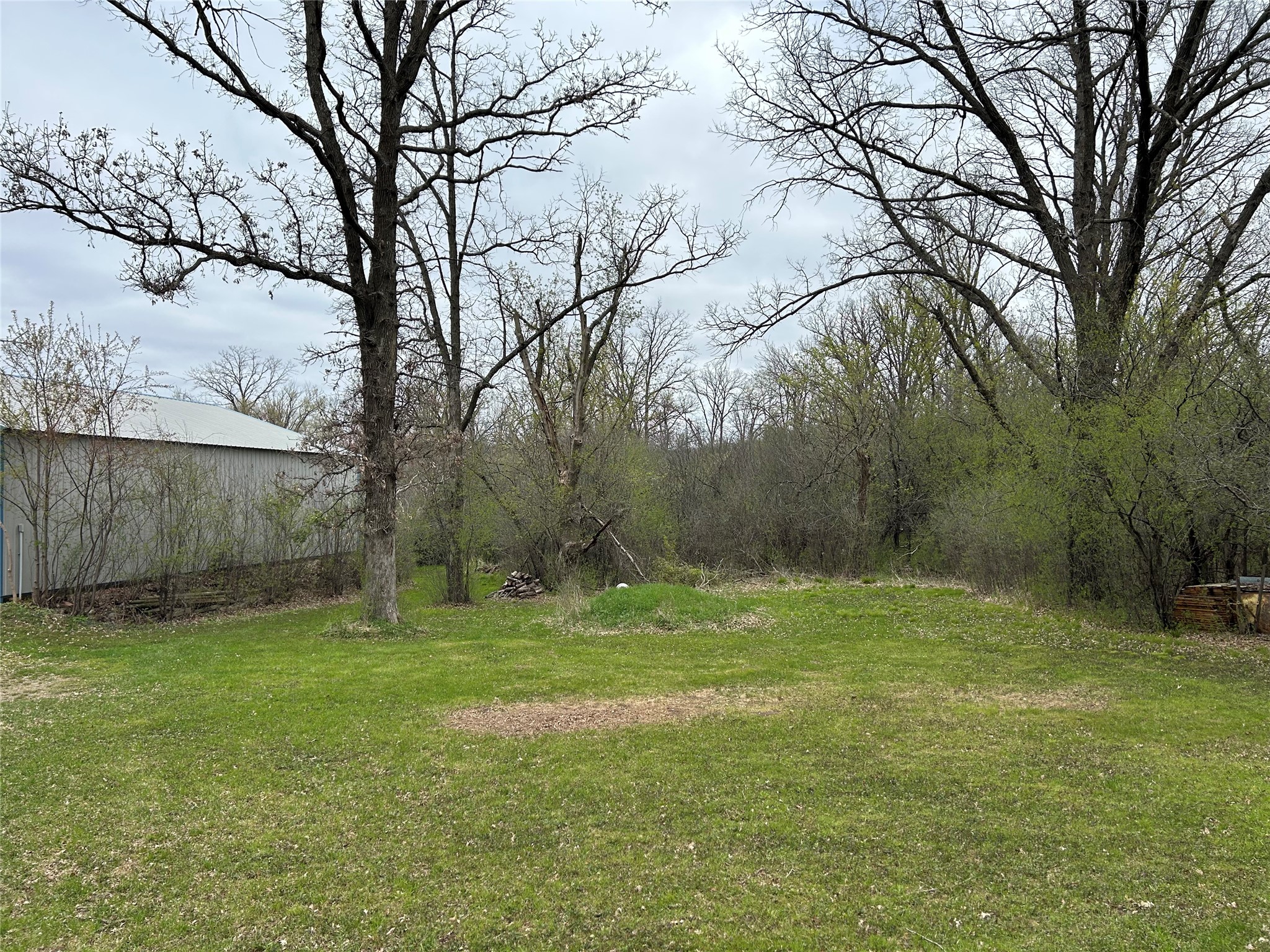 203 Dallas Street E Property Photo 54