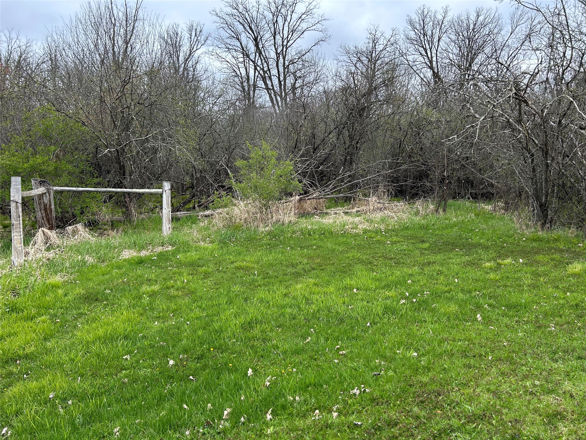 203 Dallas Street E Property Photo 55