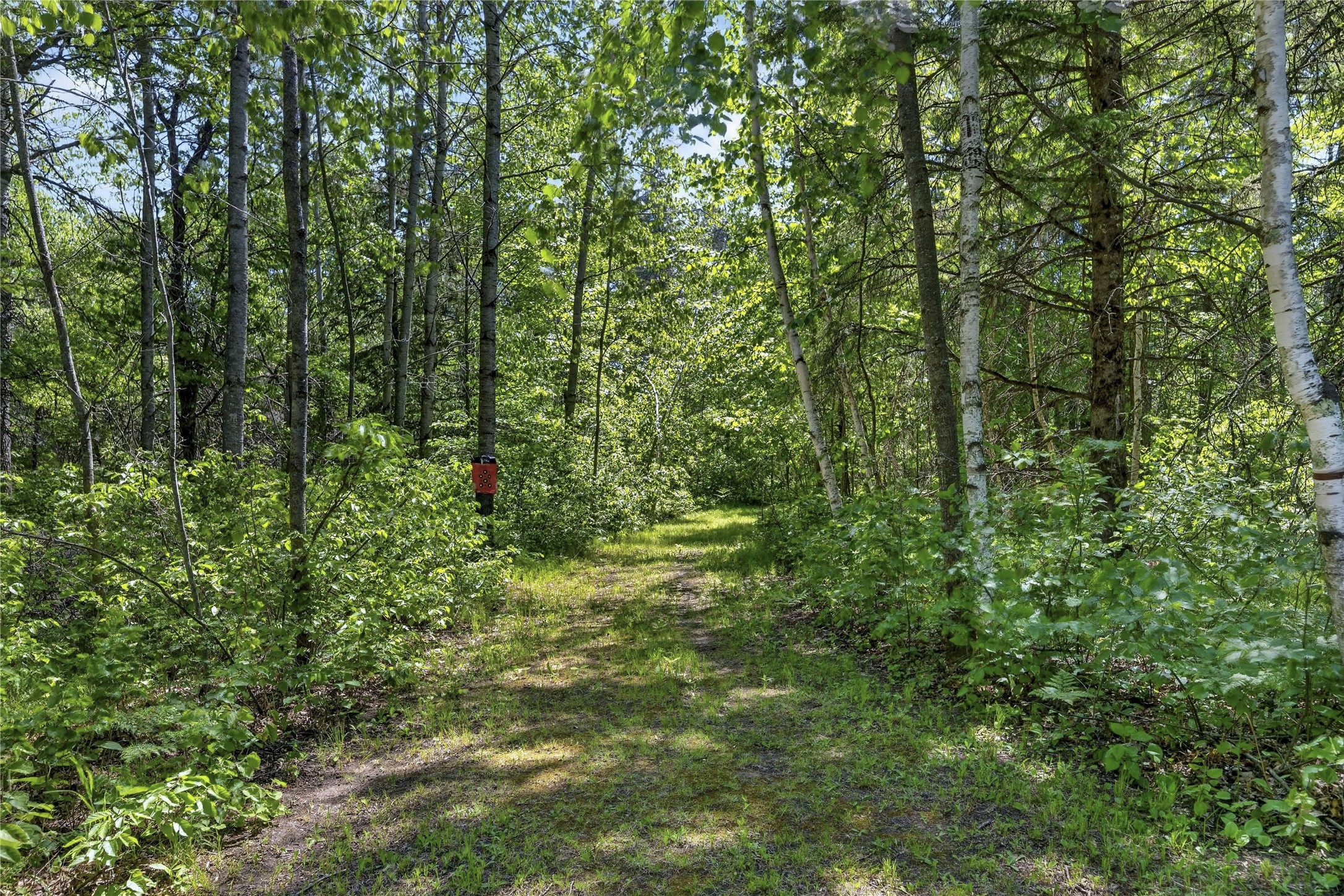 12235 E Crooked Lake Road Property Photo 42