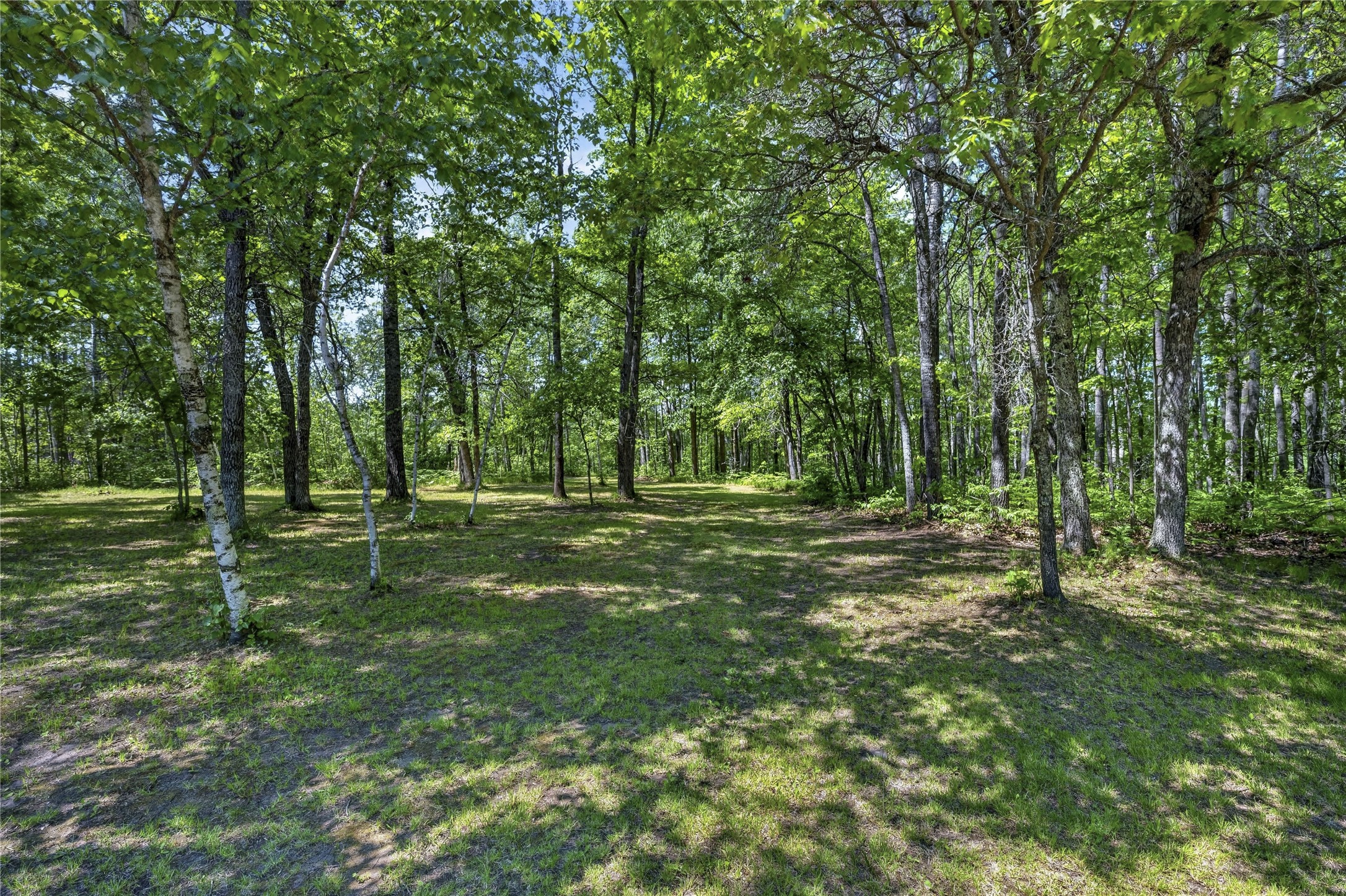 12235 E Crooked Lake Road Property Photo 48