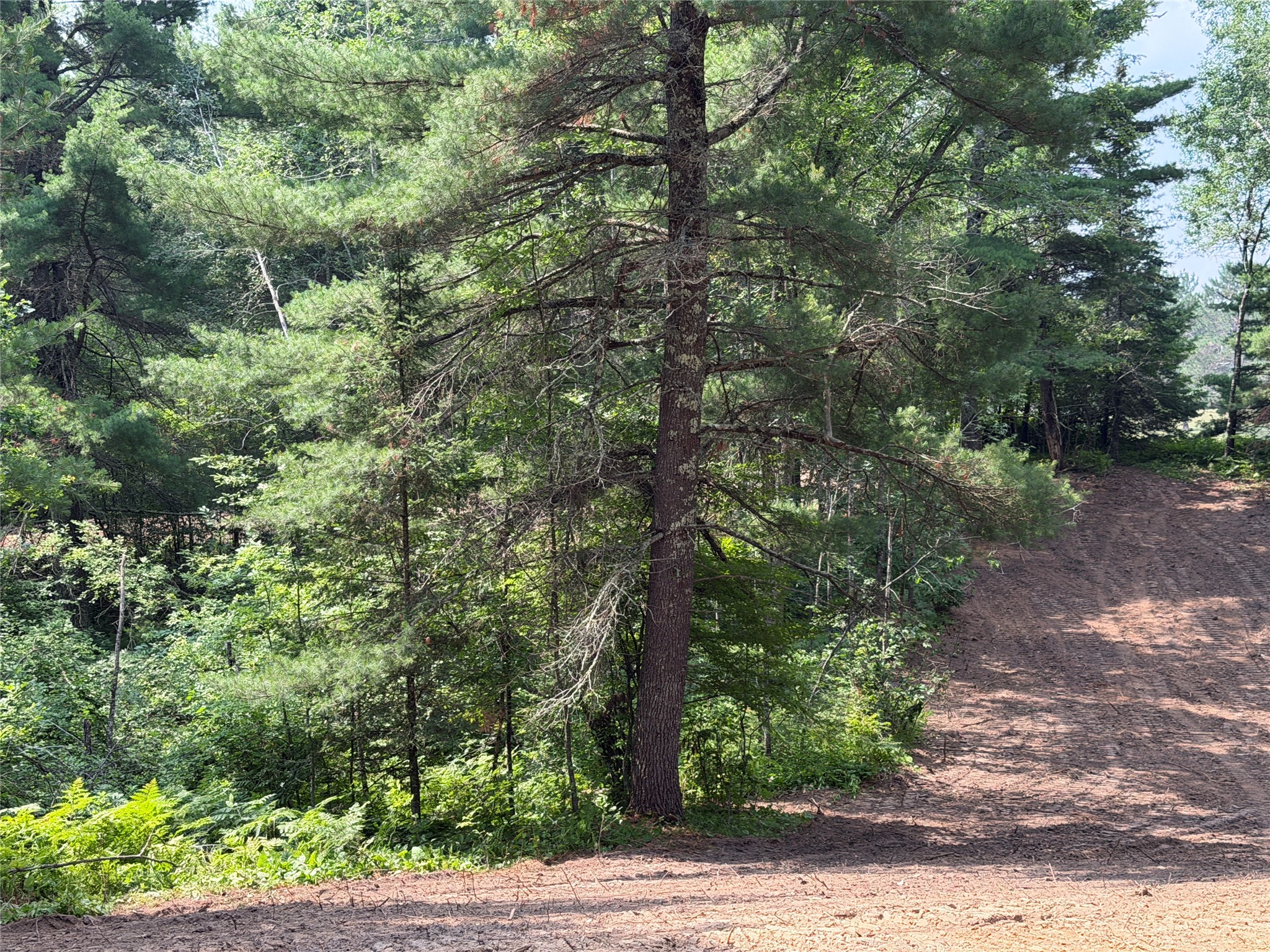 Lot 4 Hermosa Lane Property Photo 14