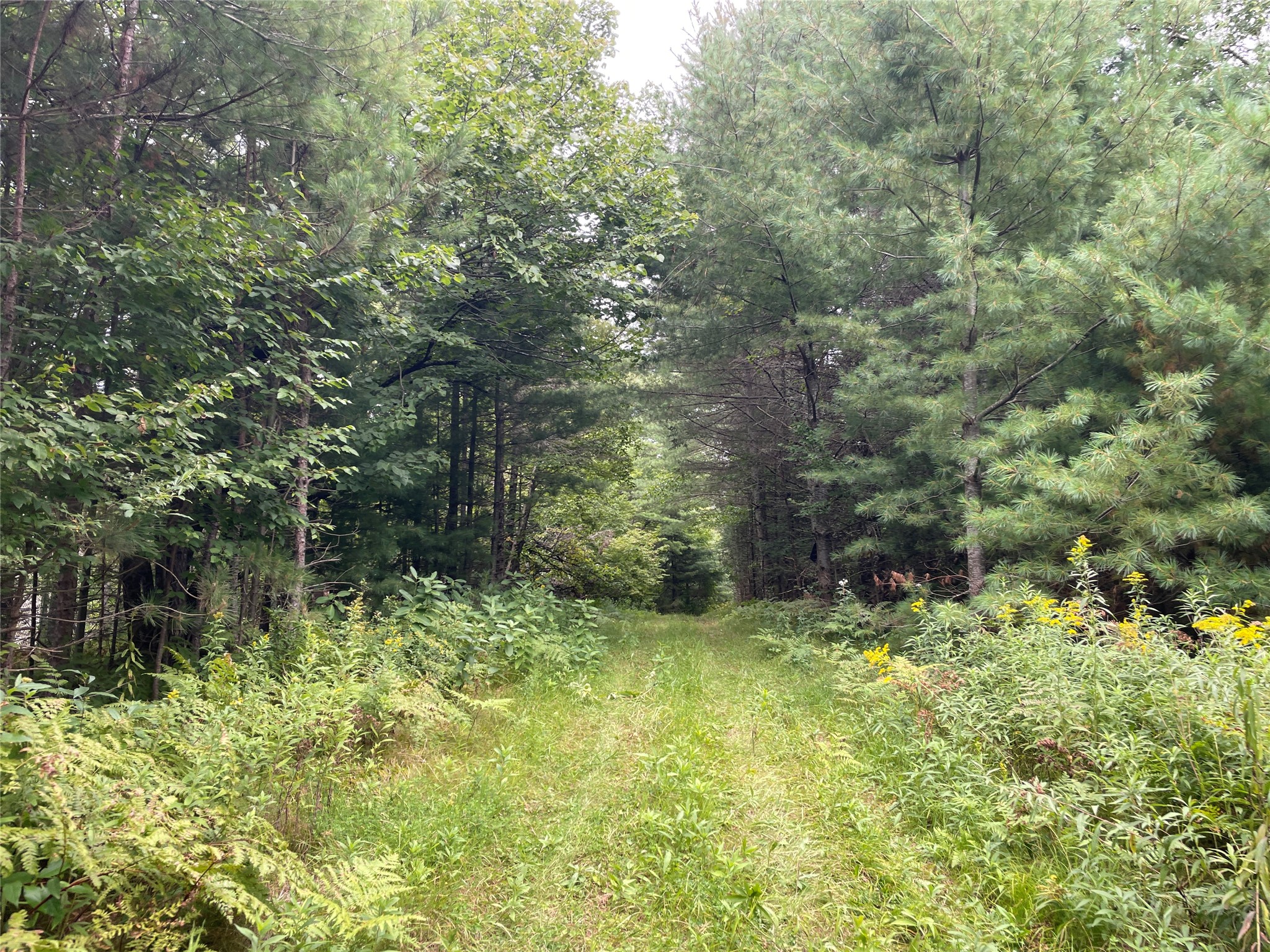 Lot 4 Hermosa Lane Property Photo 20