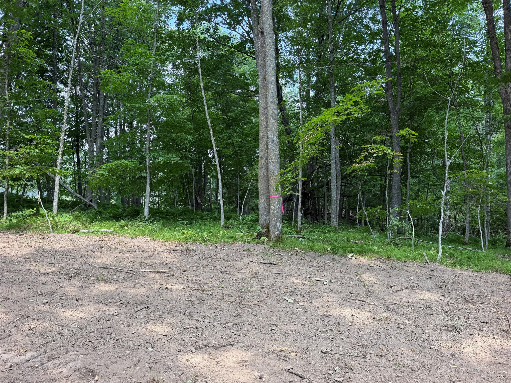 Lot 9 Hermosa Lane Property Photo 7