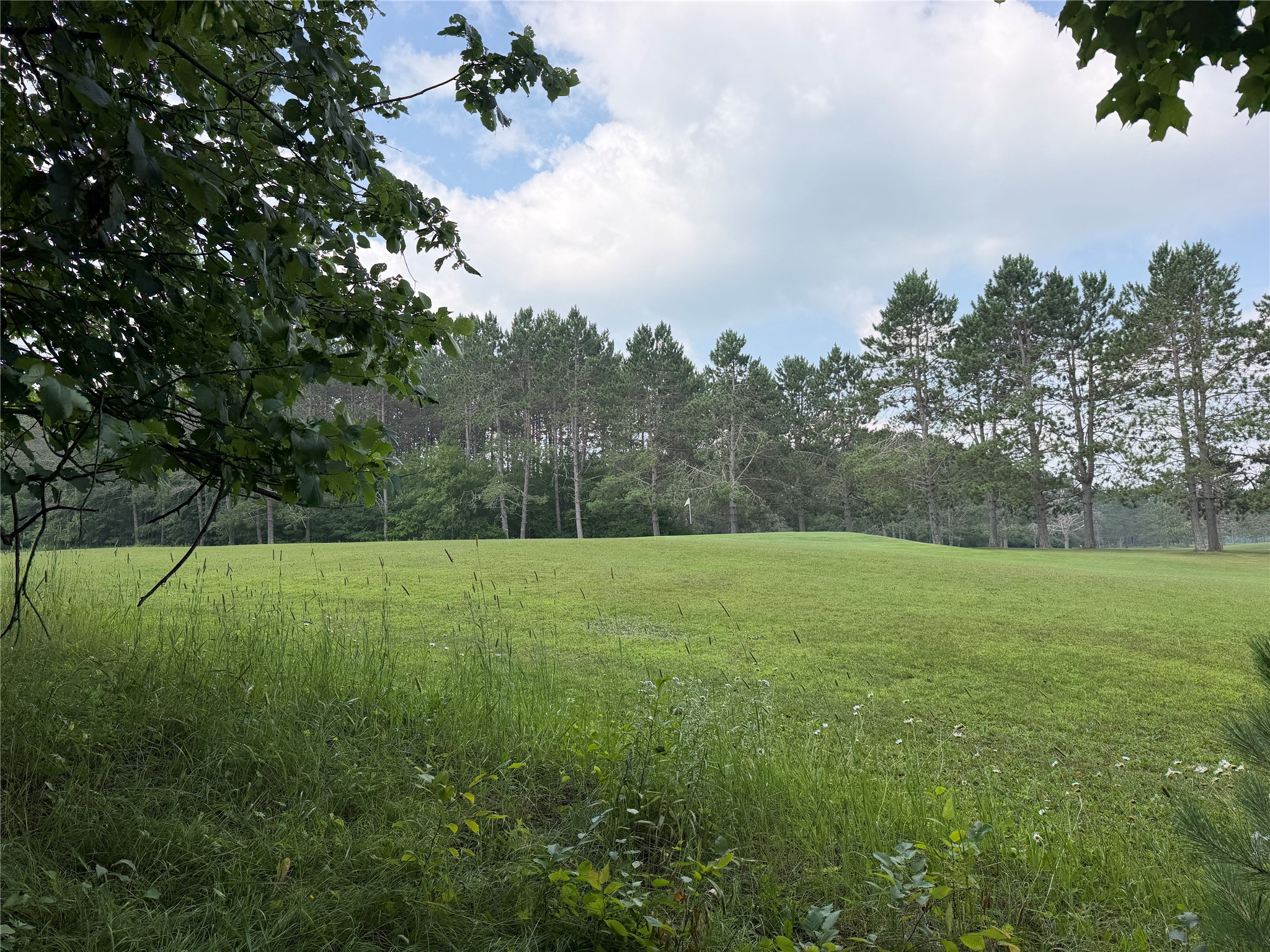Lot 9 Hermosa Lane Property Photo 9
