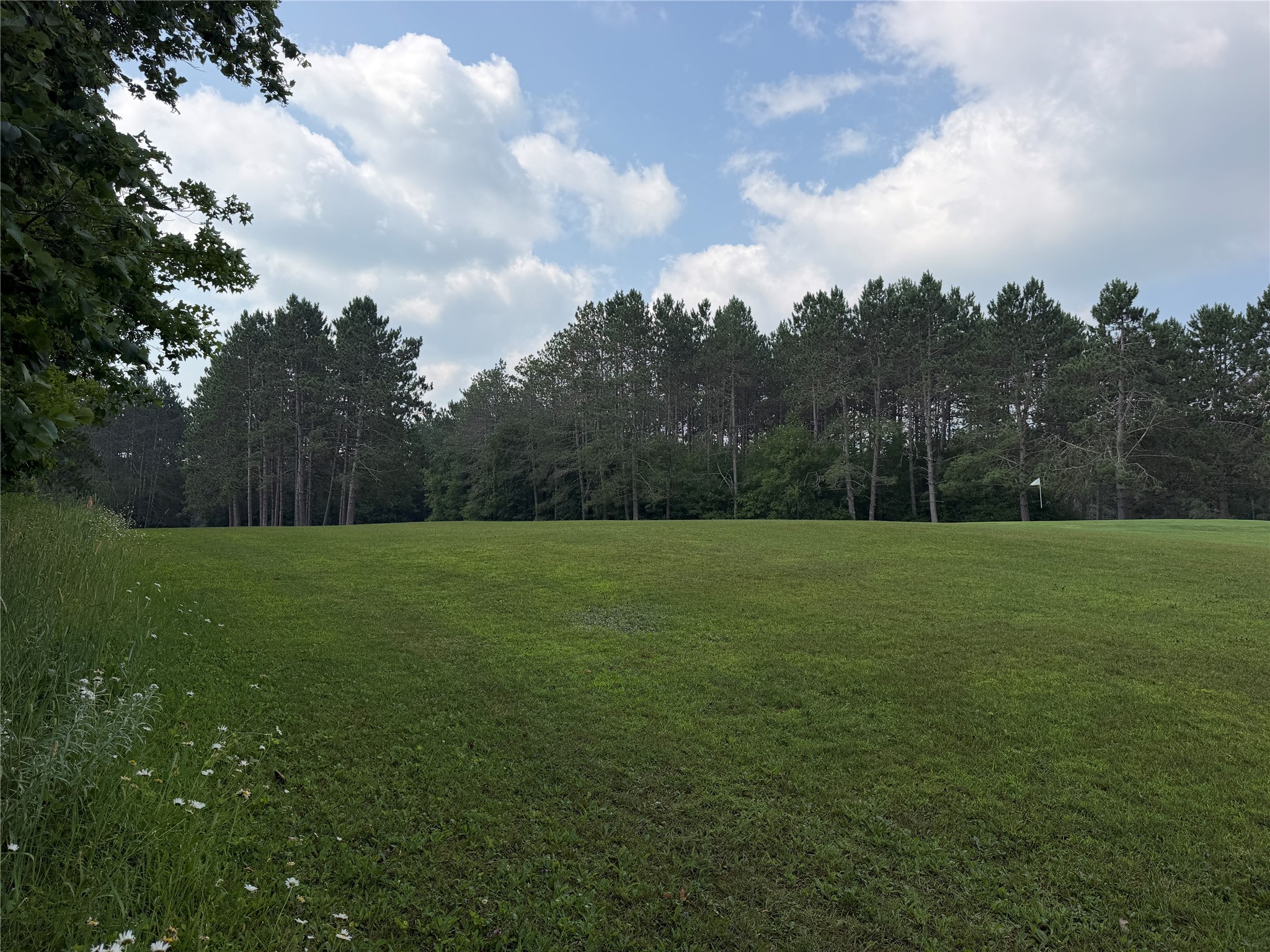 Lot 9 Hermosa Lane Property Photo 11
