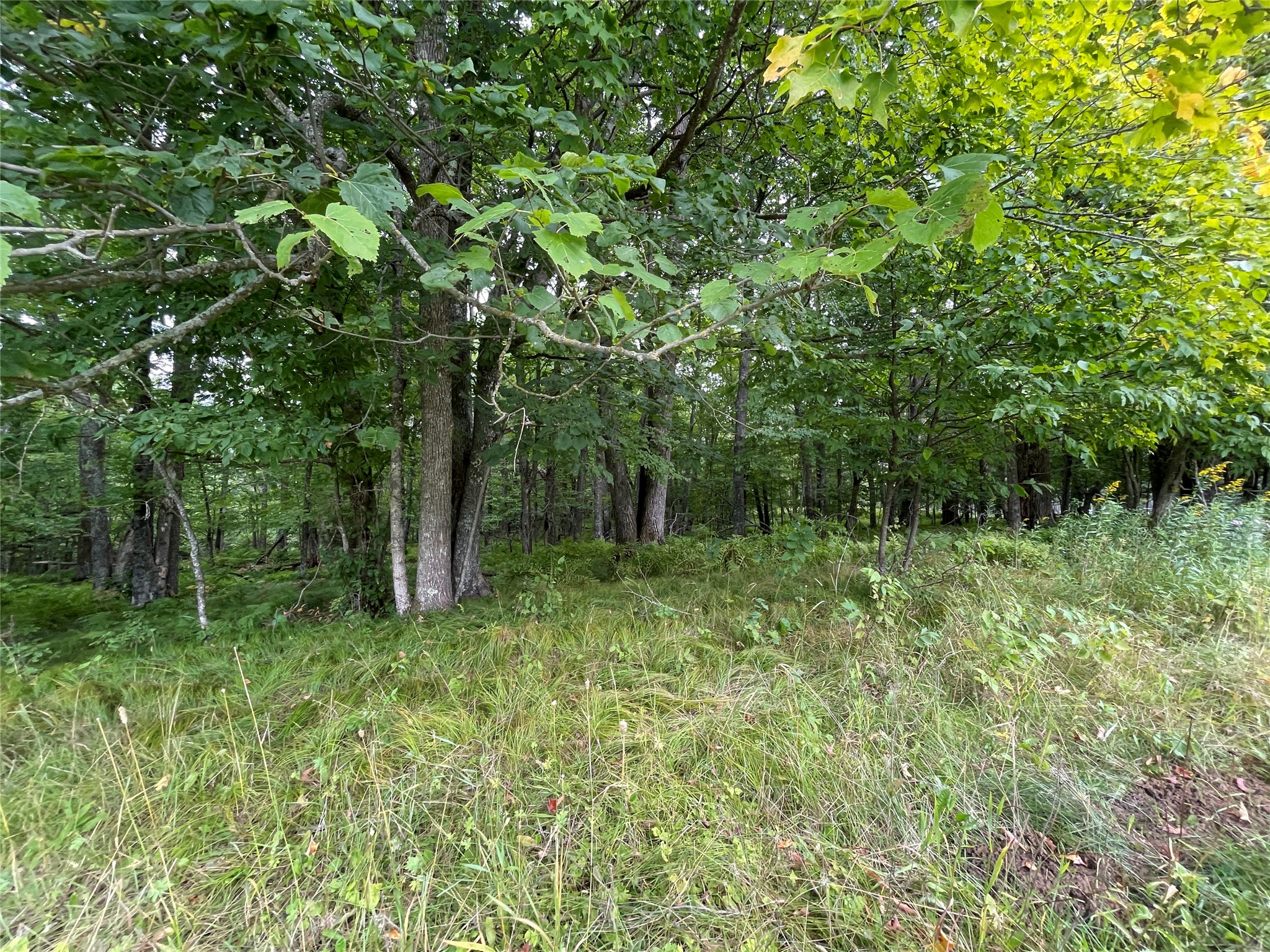 Lot 9 Hermosa Lane Property Photo 14