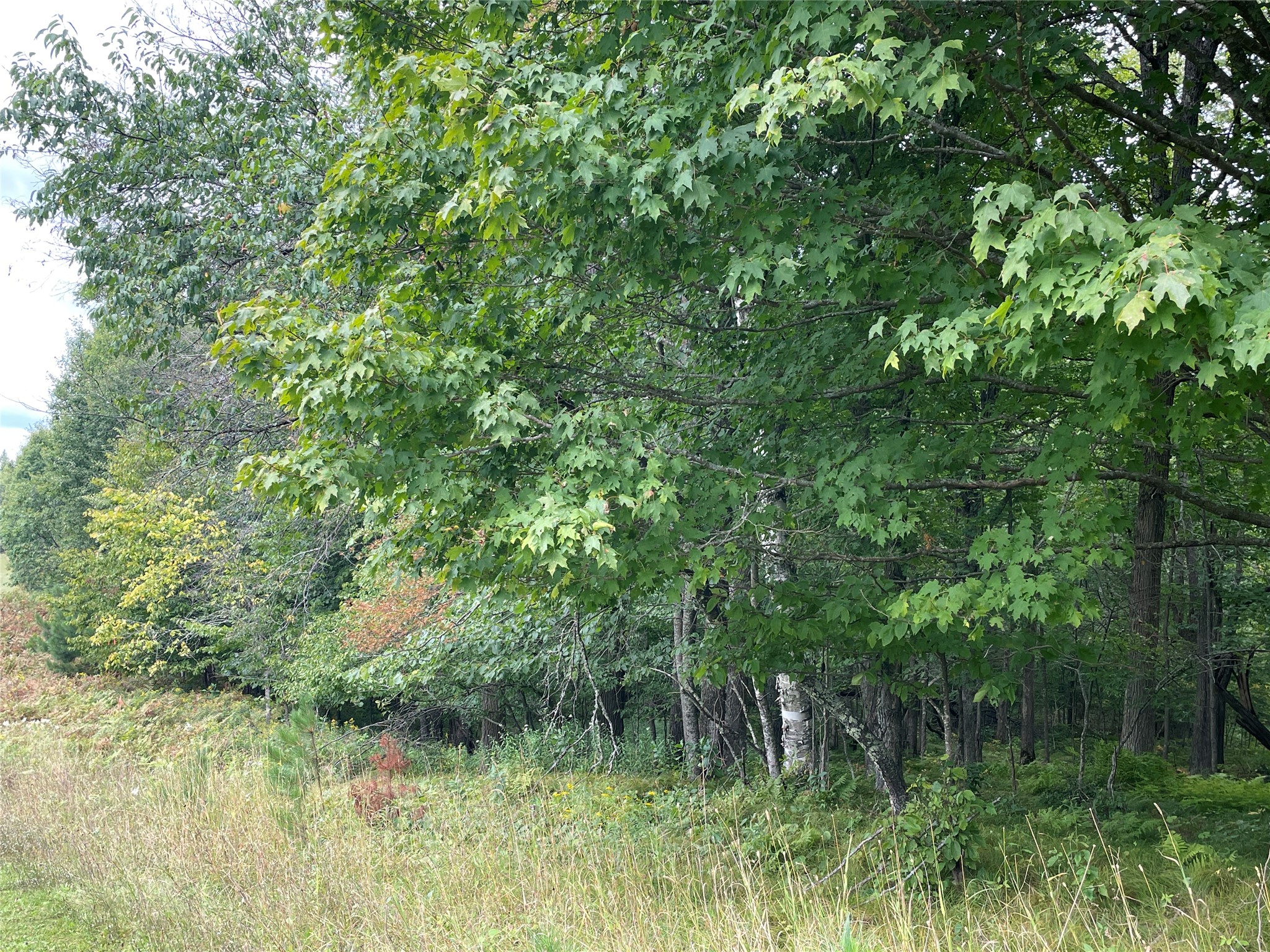 Lot 9 Hermosa Lane Property Photo 15