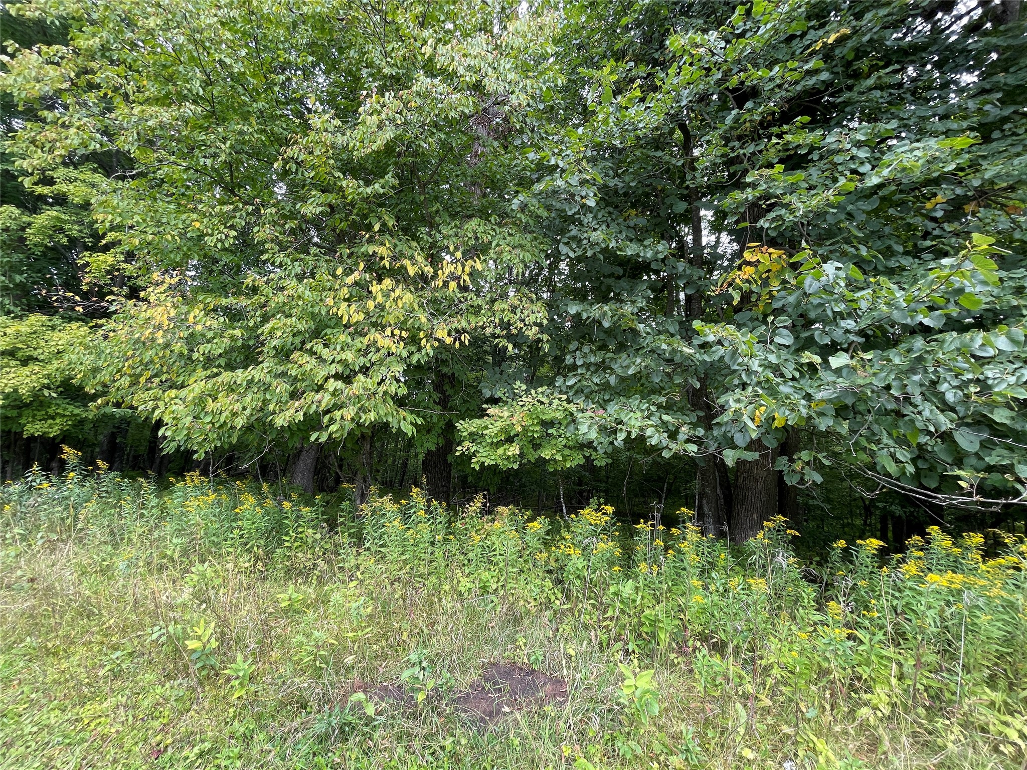 Lot 9 Hermosa Lane Property Photo 19
