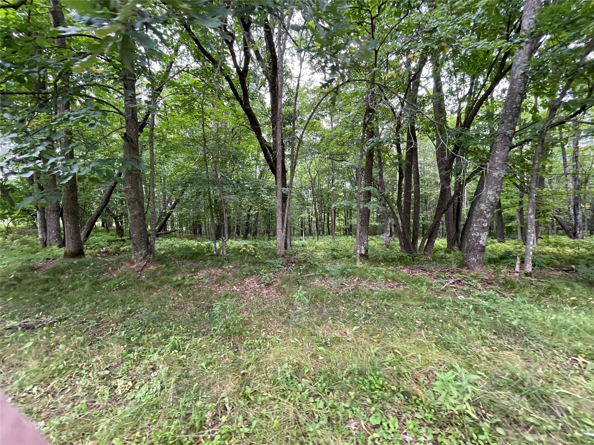 Lot 9 Hermosa Lane Property Photo 20