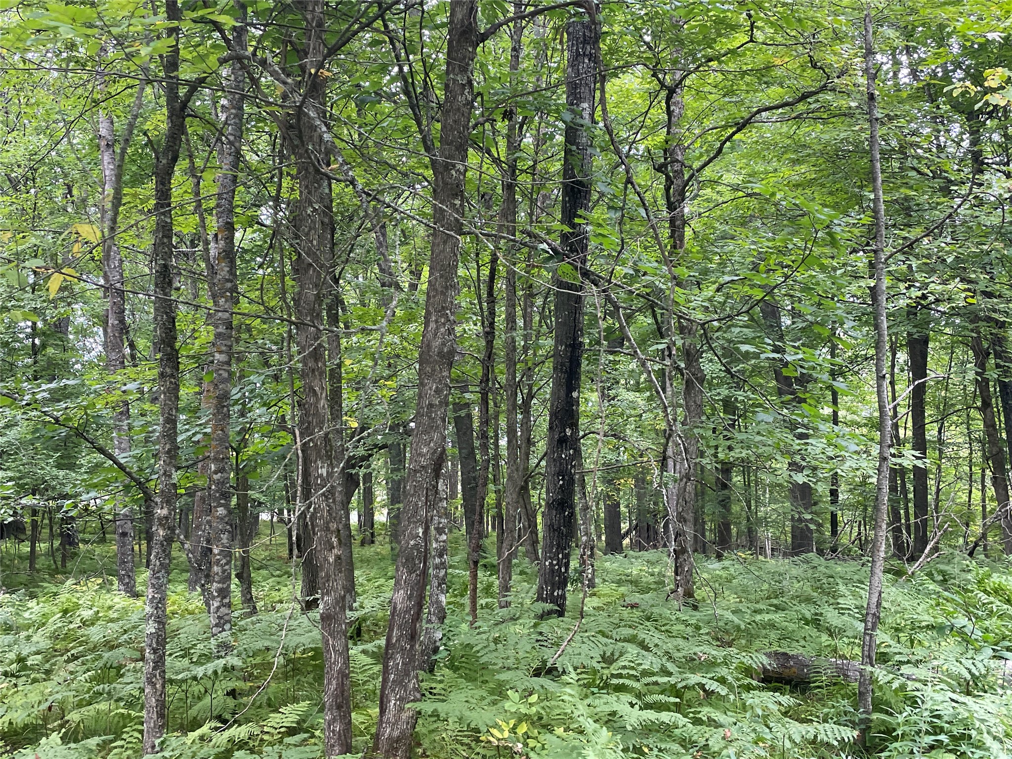 Lot 9 Hermosa Lane Property Photo 22