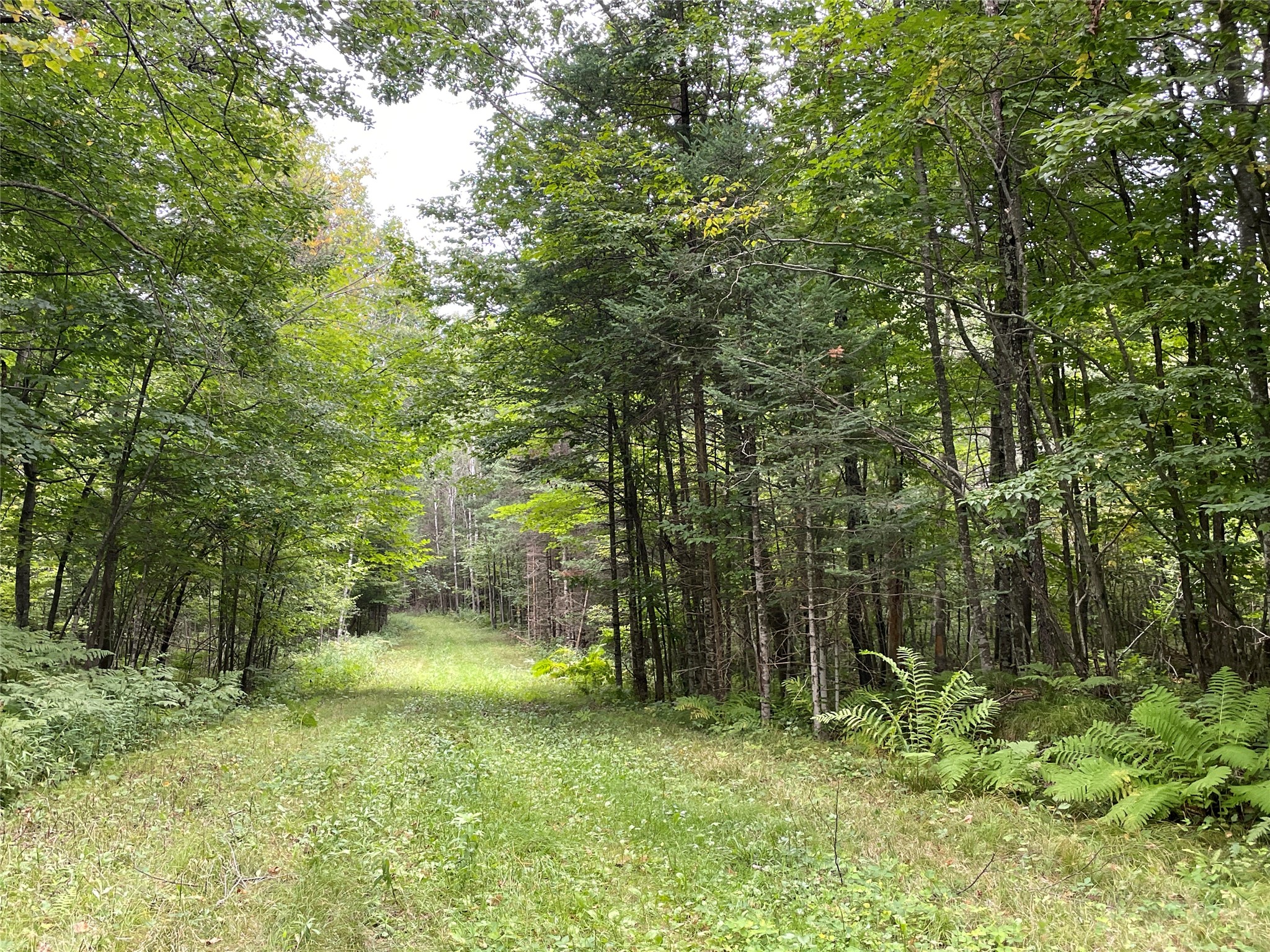 Lot 9 Hermosa Lane Property Photo 23