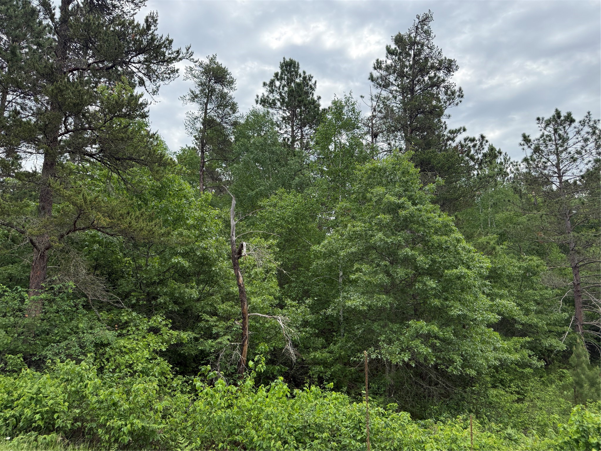 Lot 51 Aspen Lane Property Photo 1