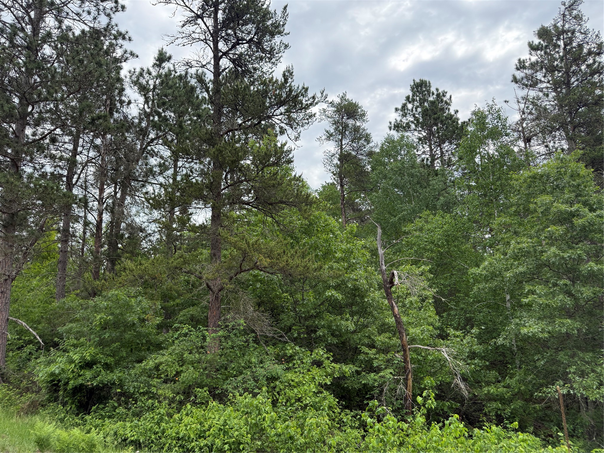 Lot 51 Aspen Lane Property Photo 2