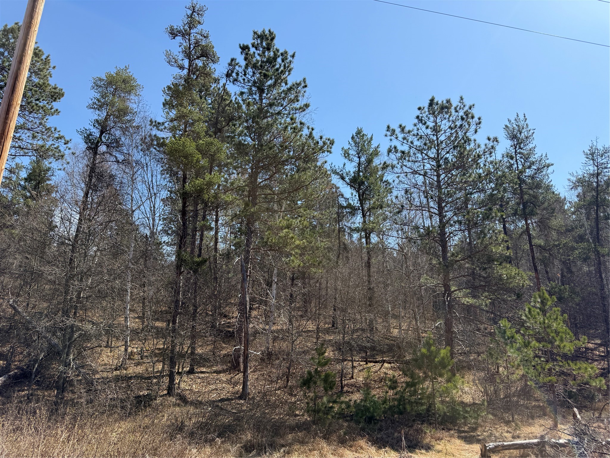 Lot 51 Aspen Lane Property Photo 4