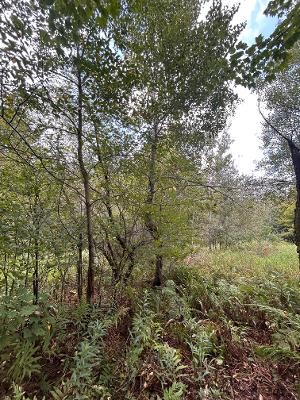 Xx 770th Avenue Property Photo 11