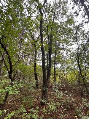 Xx 770th Avenue Property Photo 12
