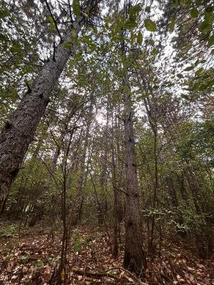 Xx 770th Avenue Property Photo 14