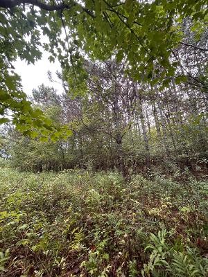 Xx 770th Avenue Property Photo 15