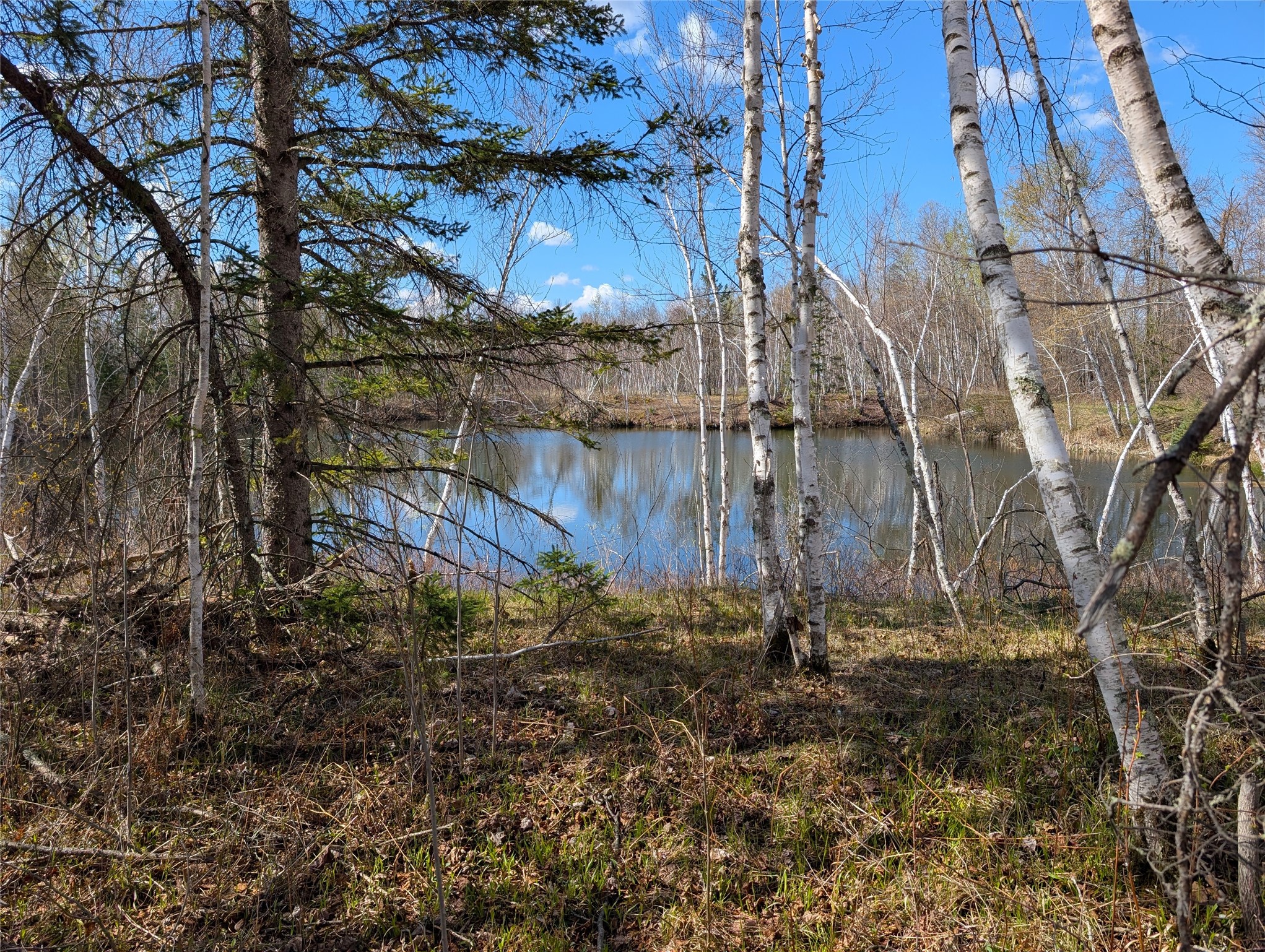 15138 S Crotte Brook Trail Property Photo 15