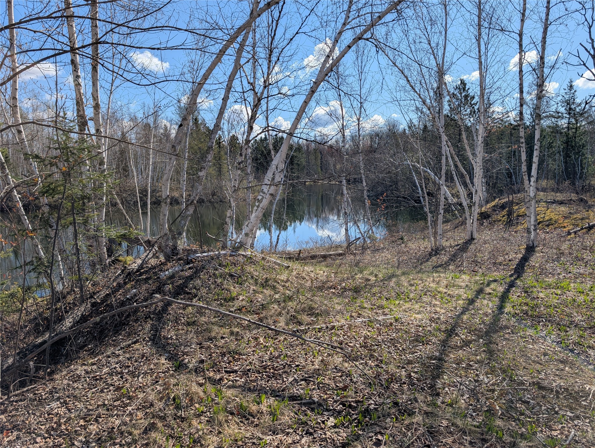 15138 S Crotte Brook Trail Property Photo 17