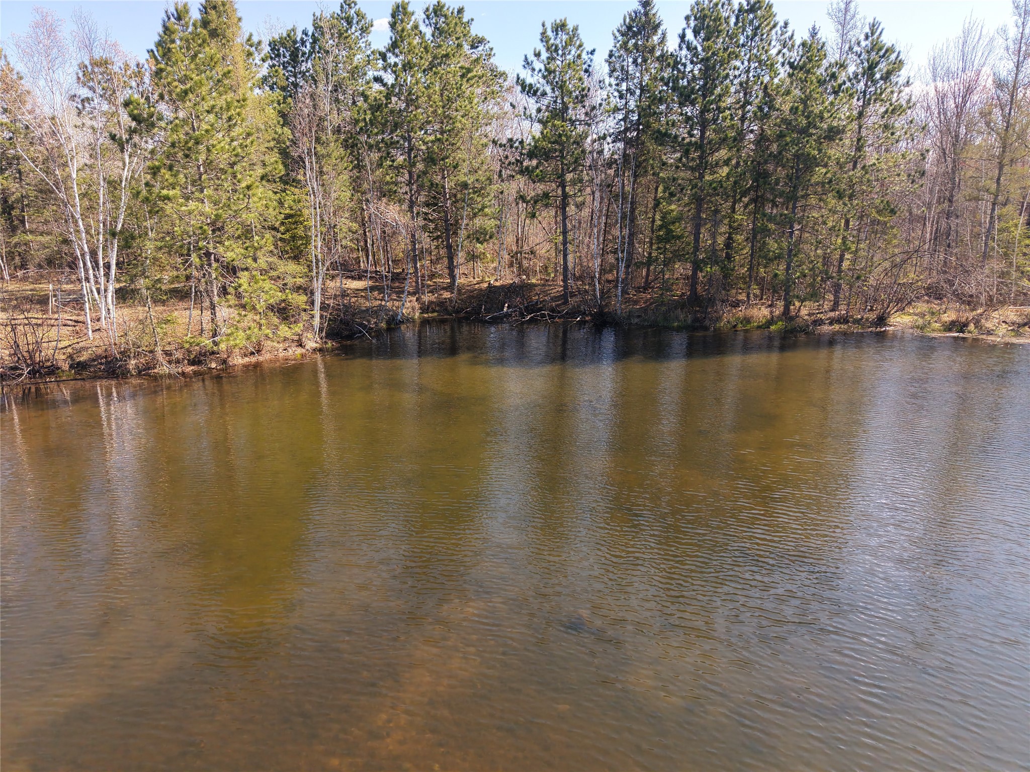 15138 S Crotte Brook Trail Property Photo 20