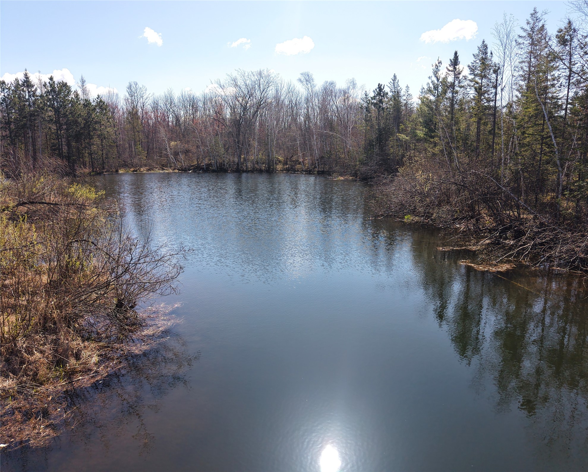 15138 S Crotte Brook Trail Property Photo 28