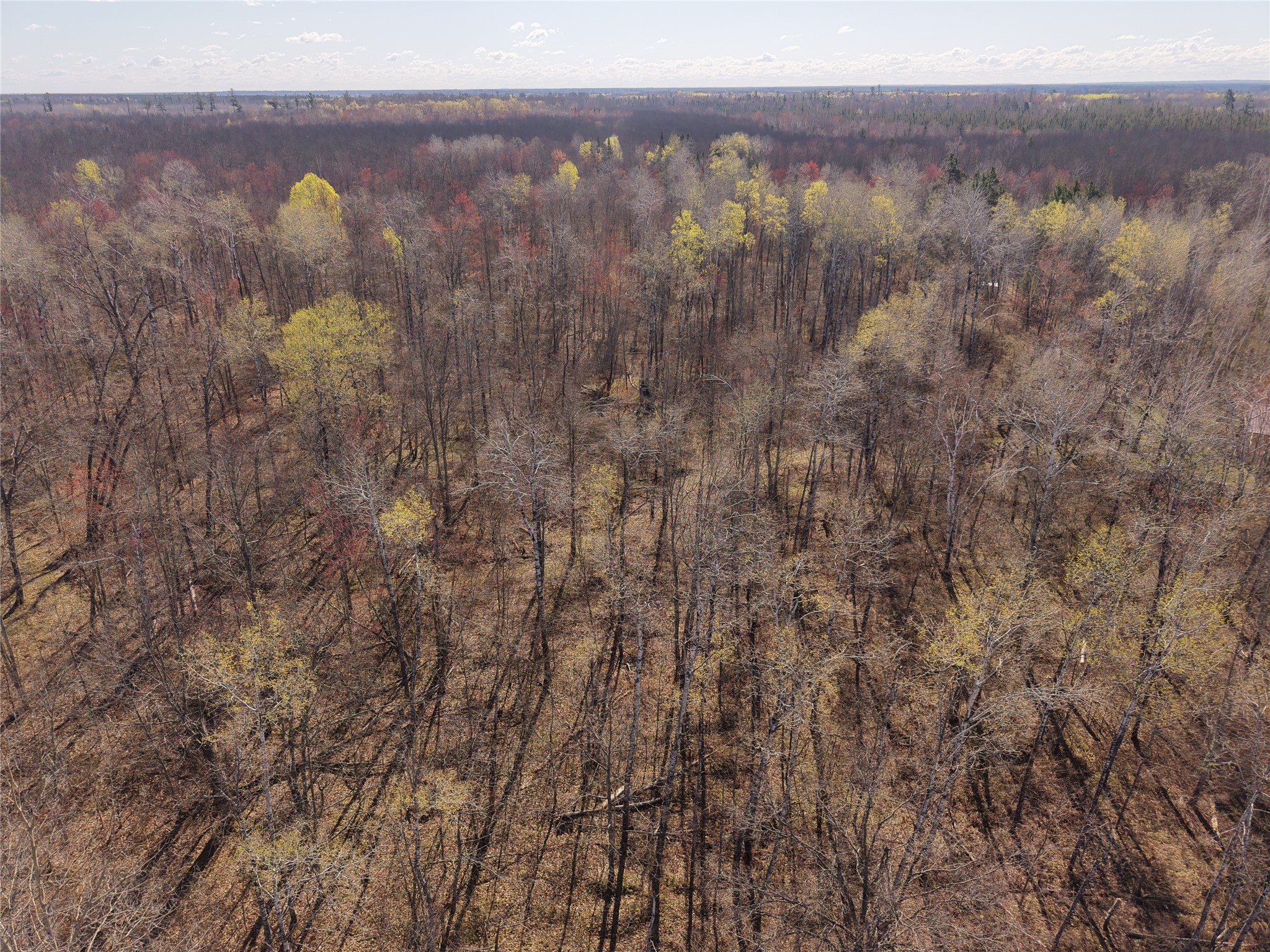 15138 S Crotte Brook Trail Property Photo 34