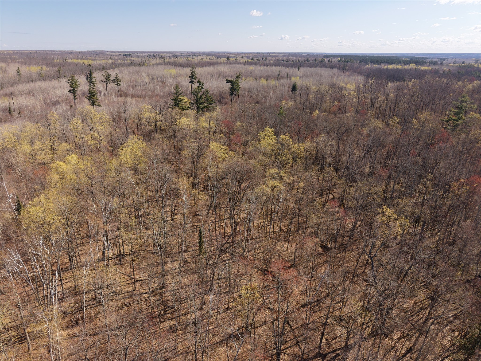 15138 S Crotte Brook Trail Property Photo 38