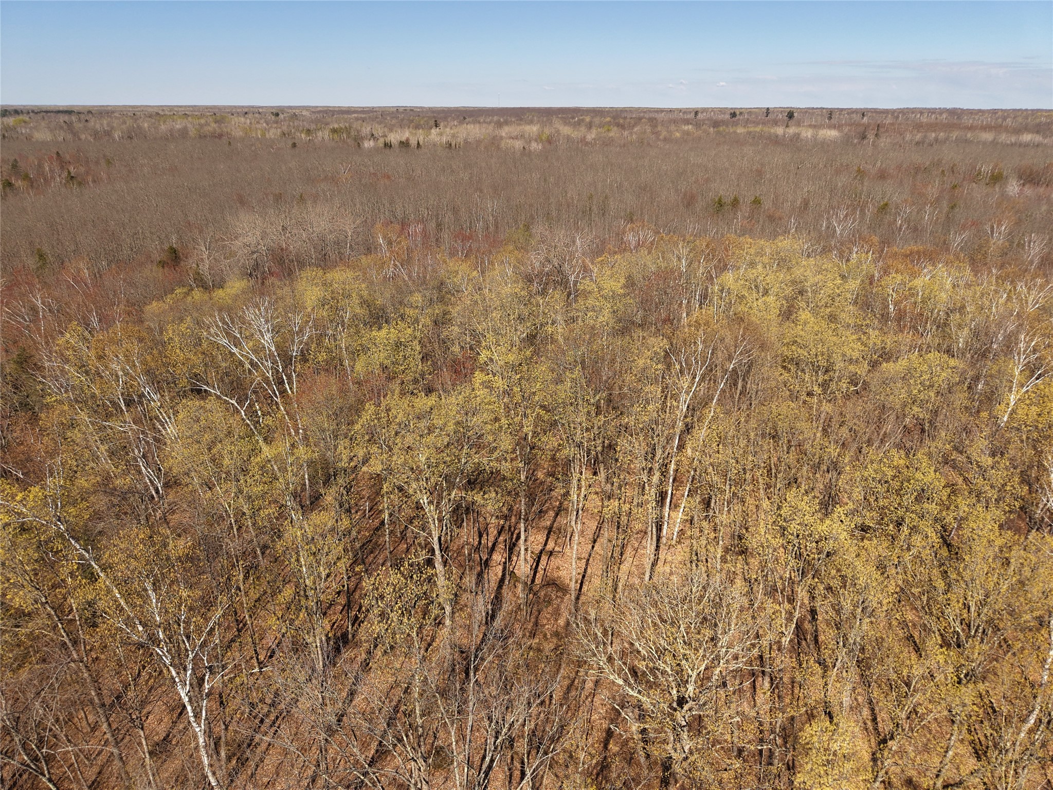 15138 S Crotte Brook Trail Property Photo 39