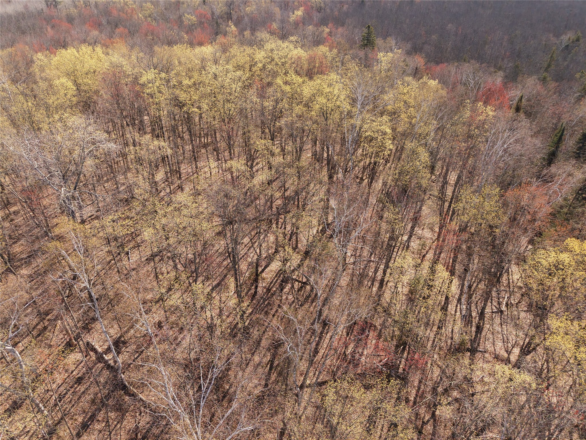 15138 S Crotte Brook Trail Property Photo 40