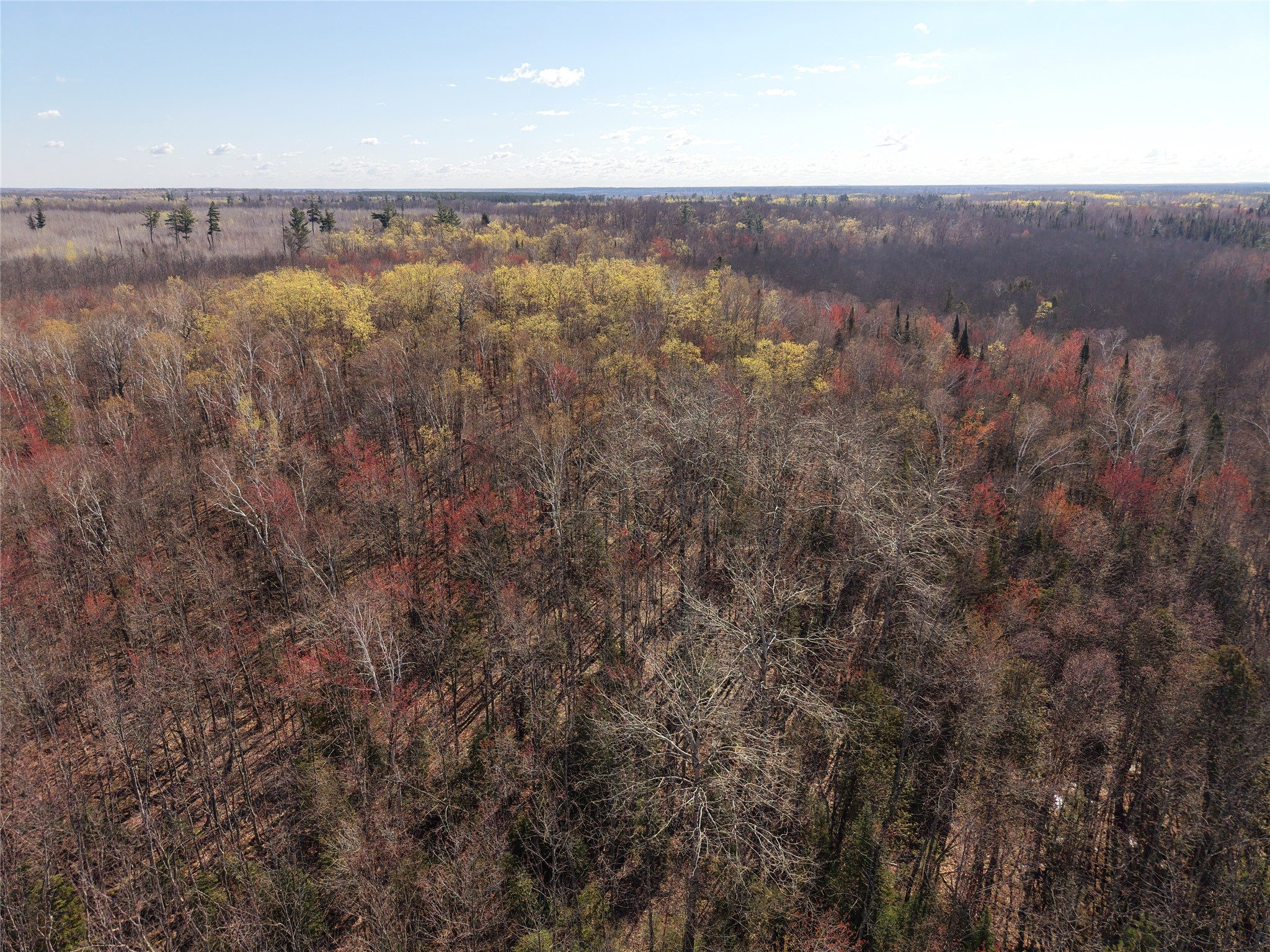 15138 S Crotte Brook Trail Property Photo 41