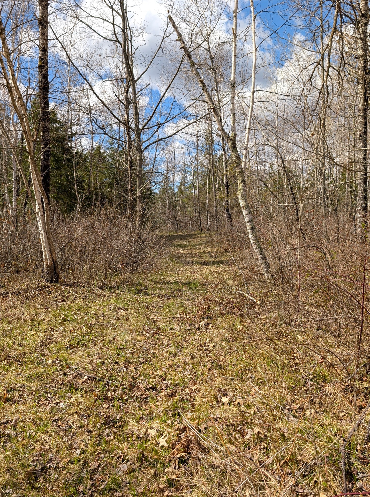 15138 S Crotte Brook Trail Property Photo 43